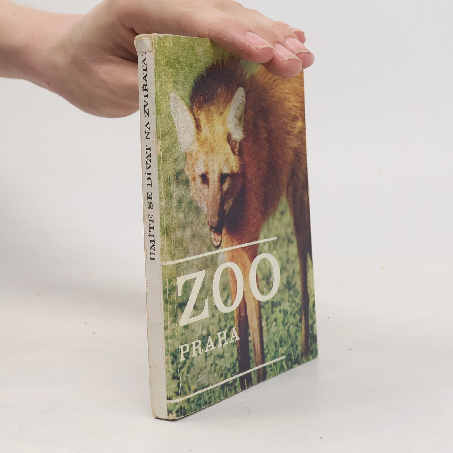Zdeněk Veselovský ZOO Praha. Umíte se dívat na zvířata?