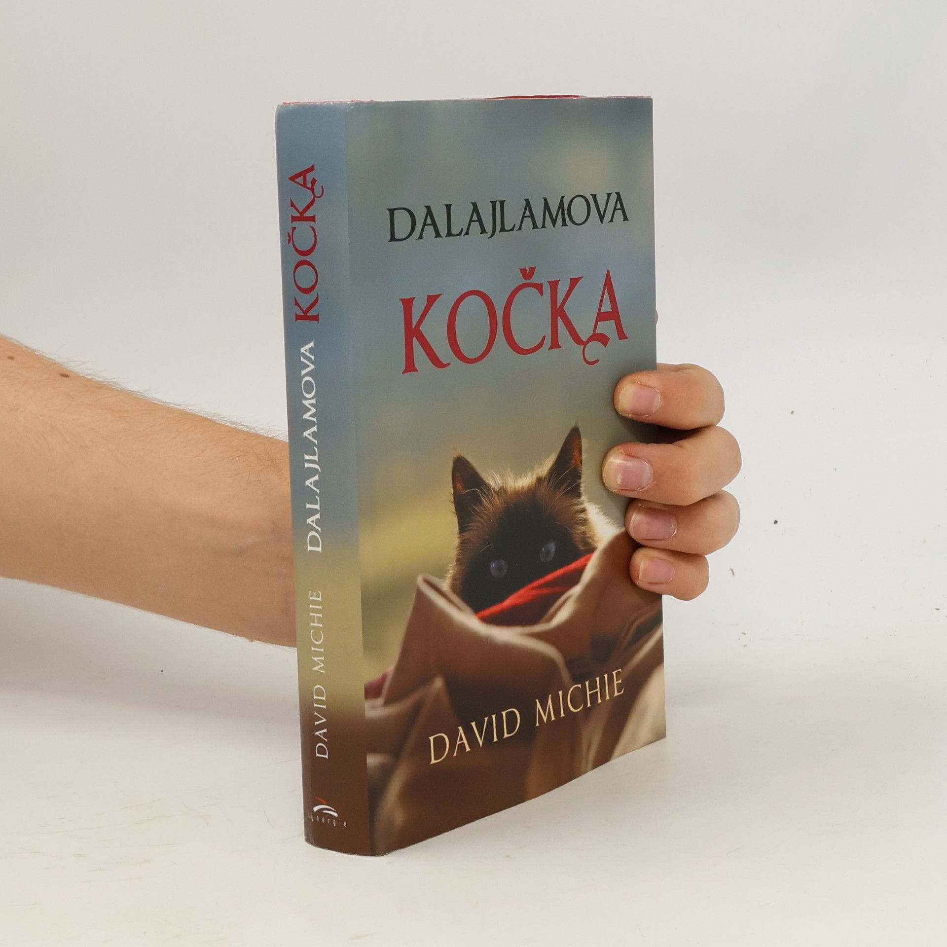 David Michie Dalajlamova kočka