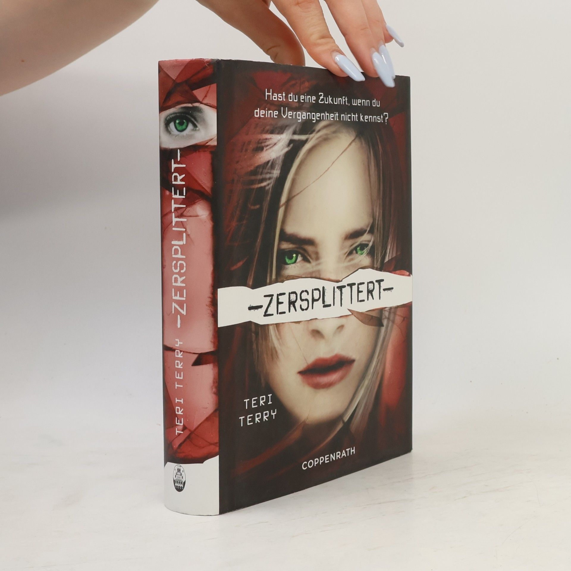 Teri Terry Zersplittert