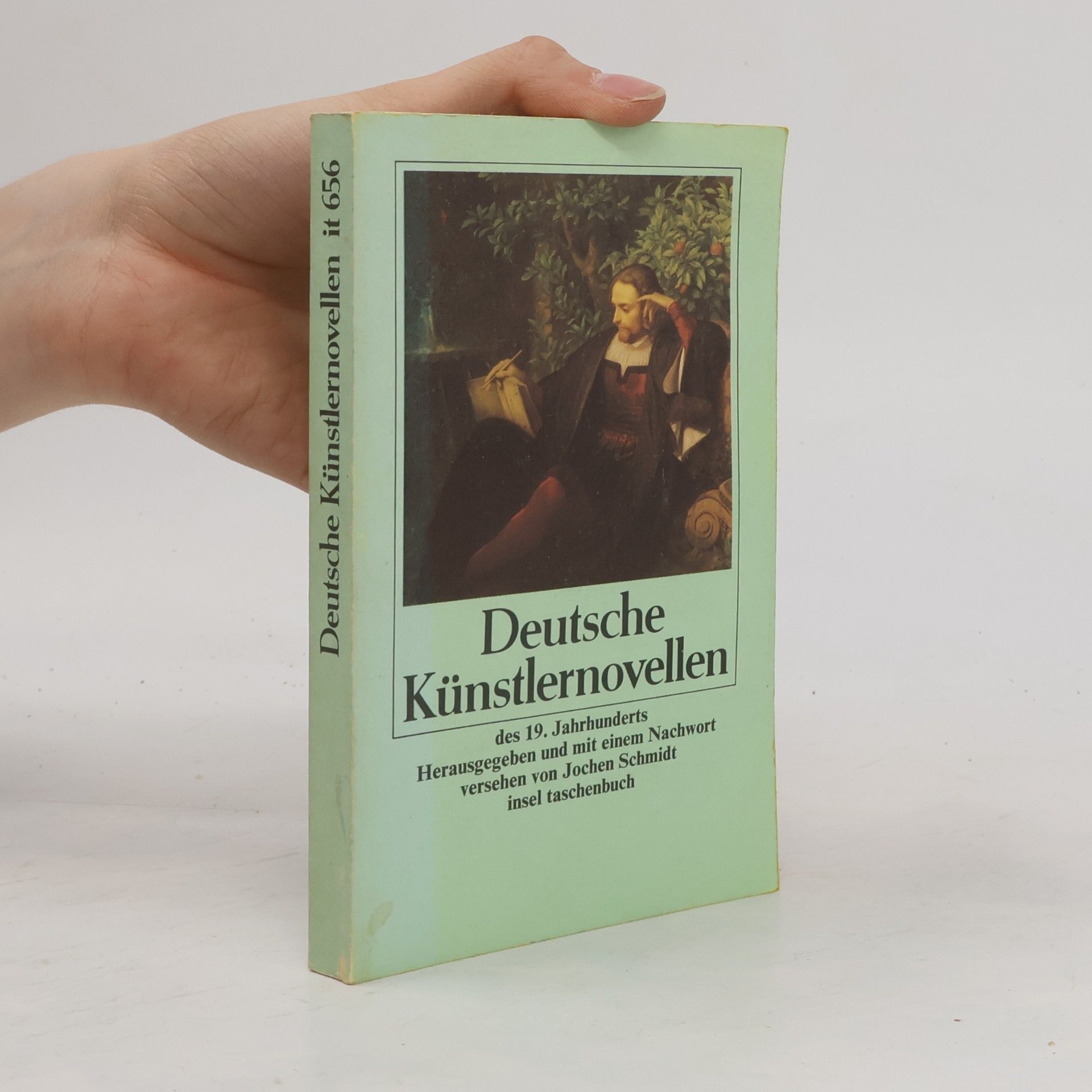 Jochen Schmidt Deutsche Künstlernovellen des 19. Jahrhunderts