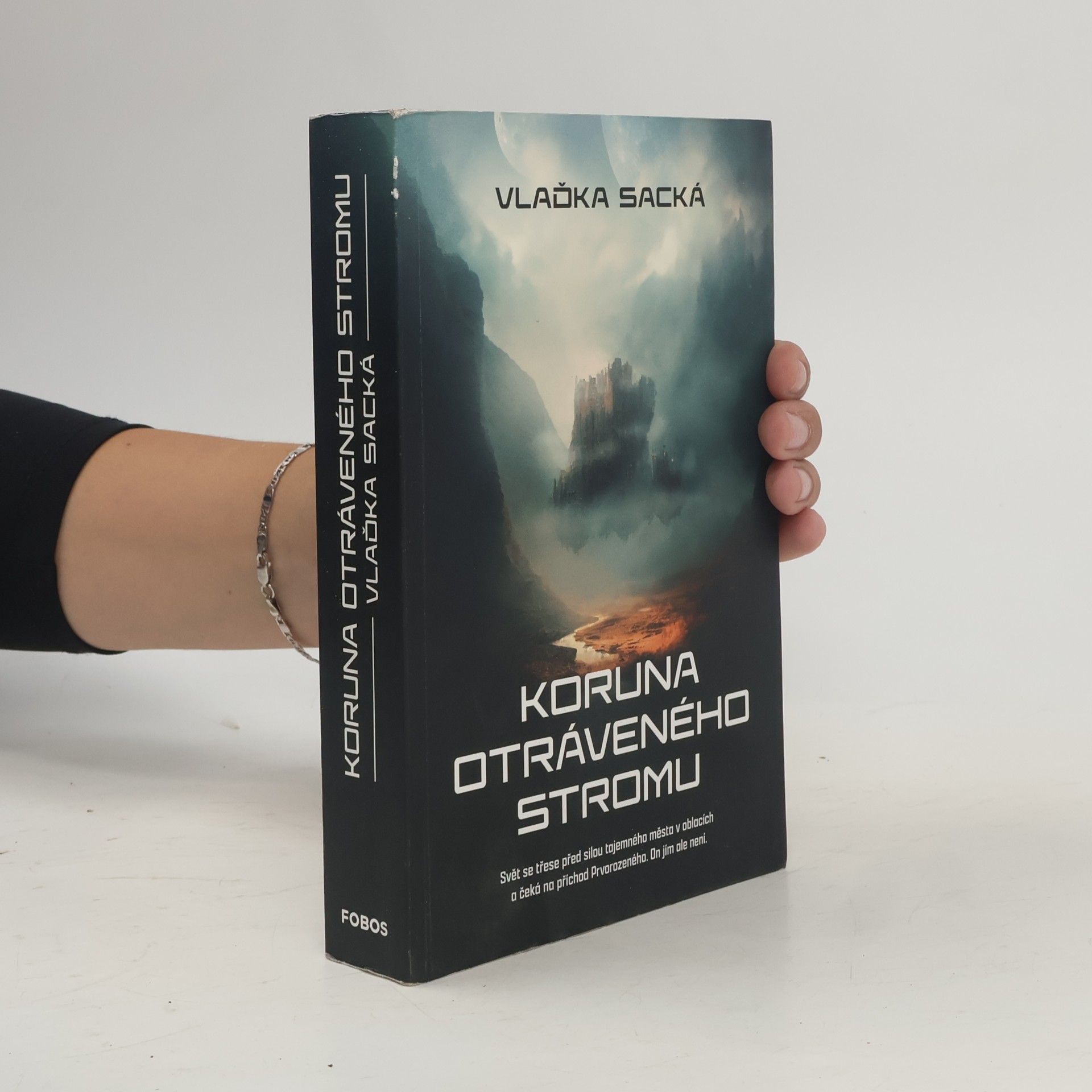 Vlaďka Sacká Koruna otráveného stromu