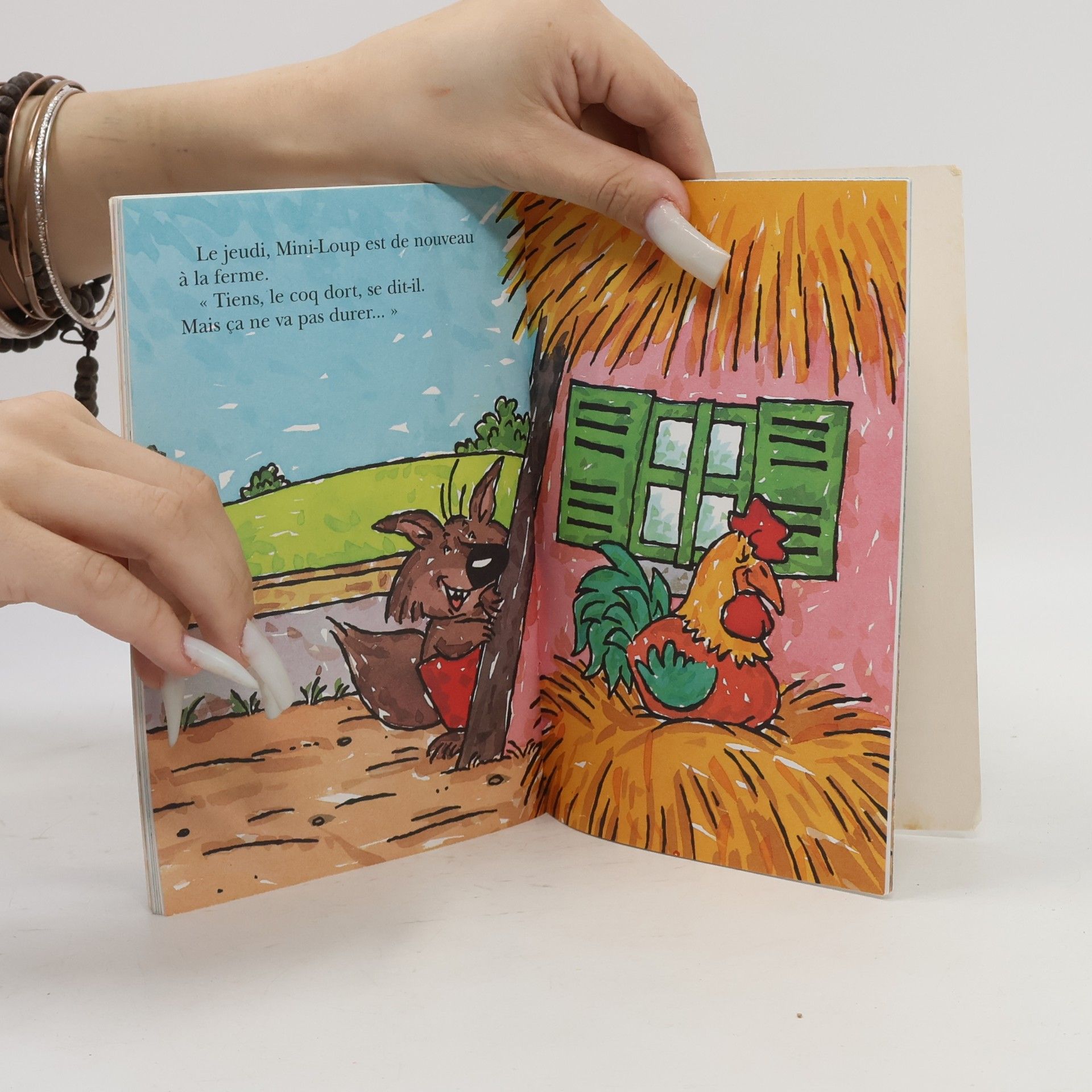 Philippe Matter Mini-loup le petit loup tout fou
