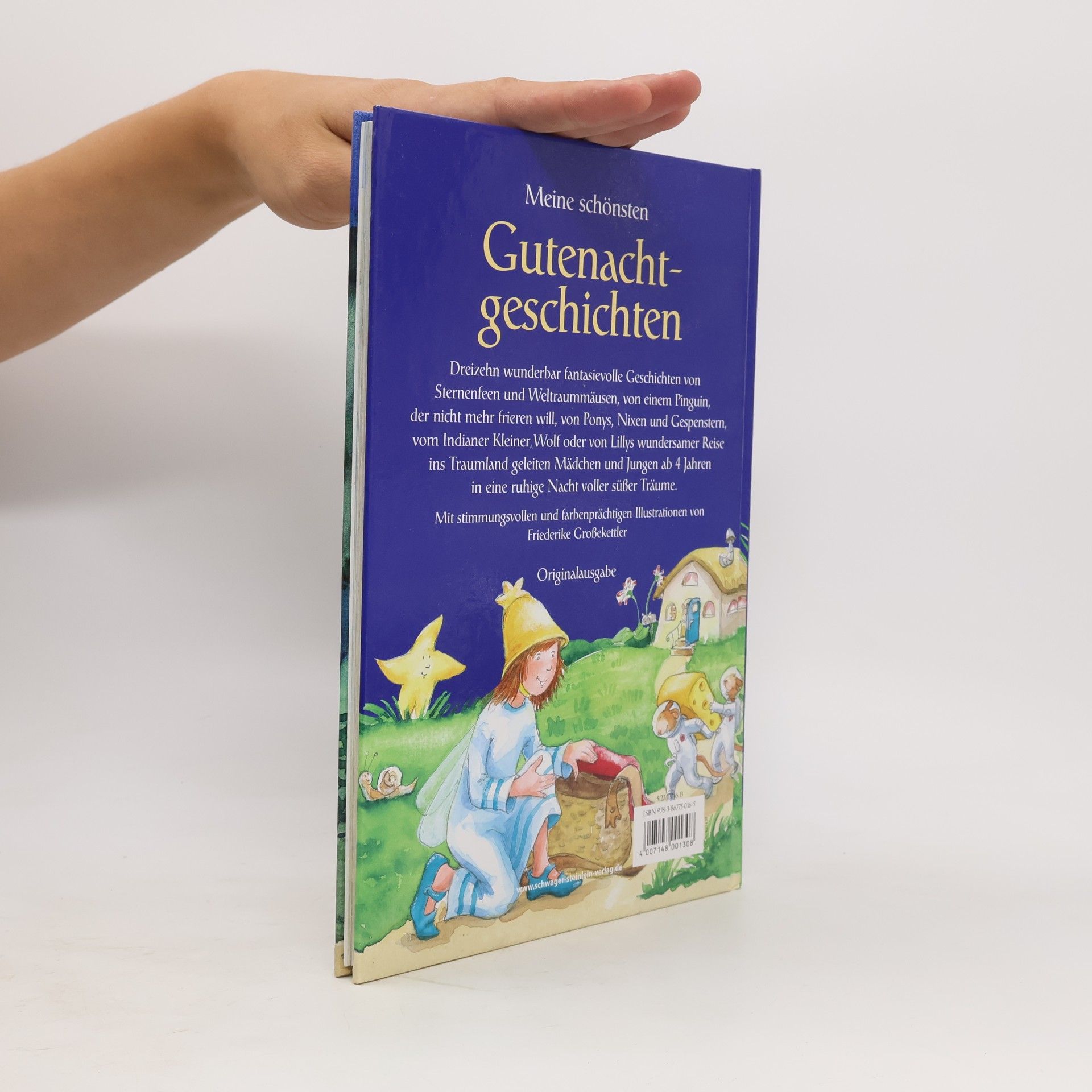 Various authors Meine schönsten Gutenachtgeschichten