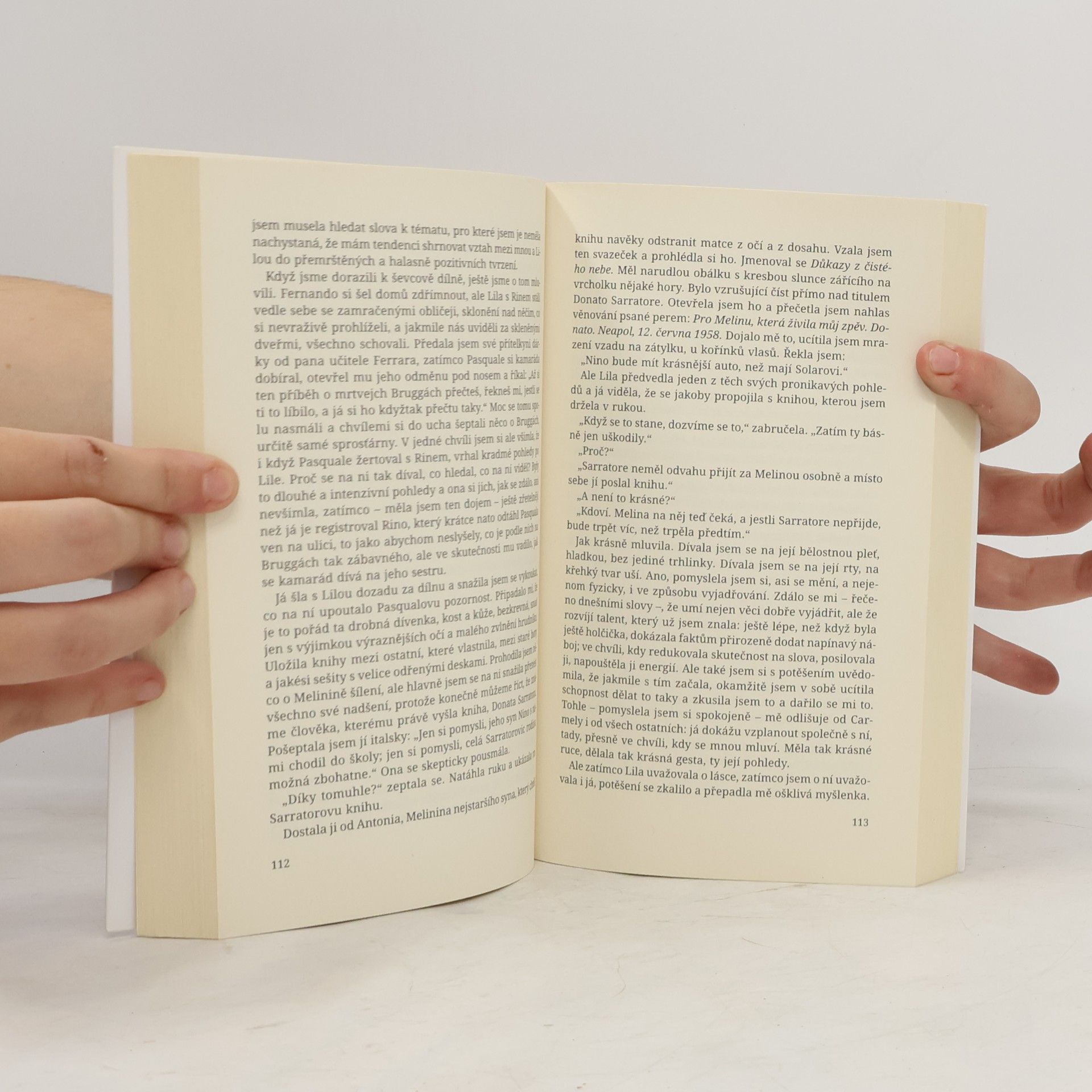 Elena Ferrante Geniální přítelkyně 1. Dětství a dospívání