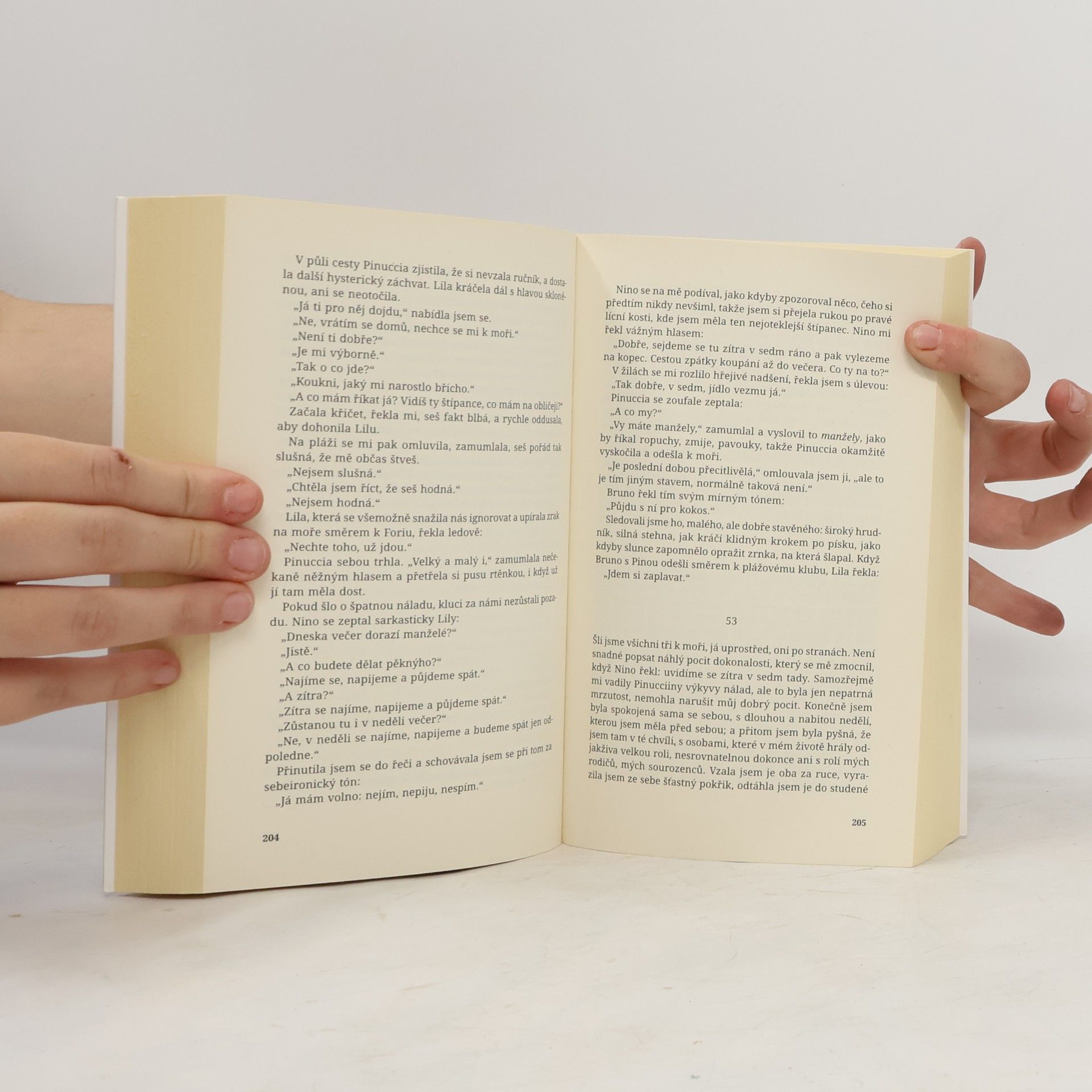 Elena Ferrante Geniální přítelkyně 2. Příběh nového jména