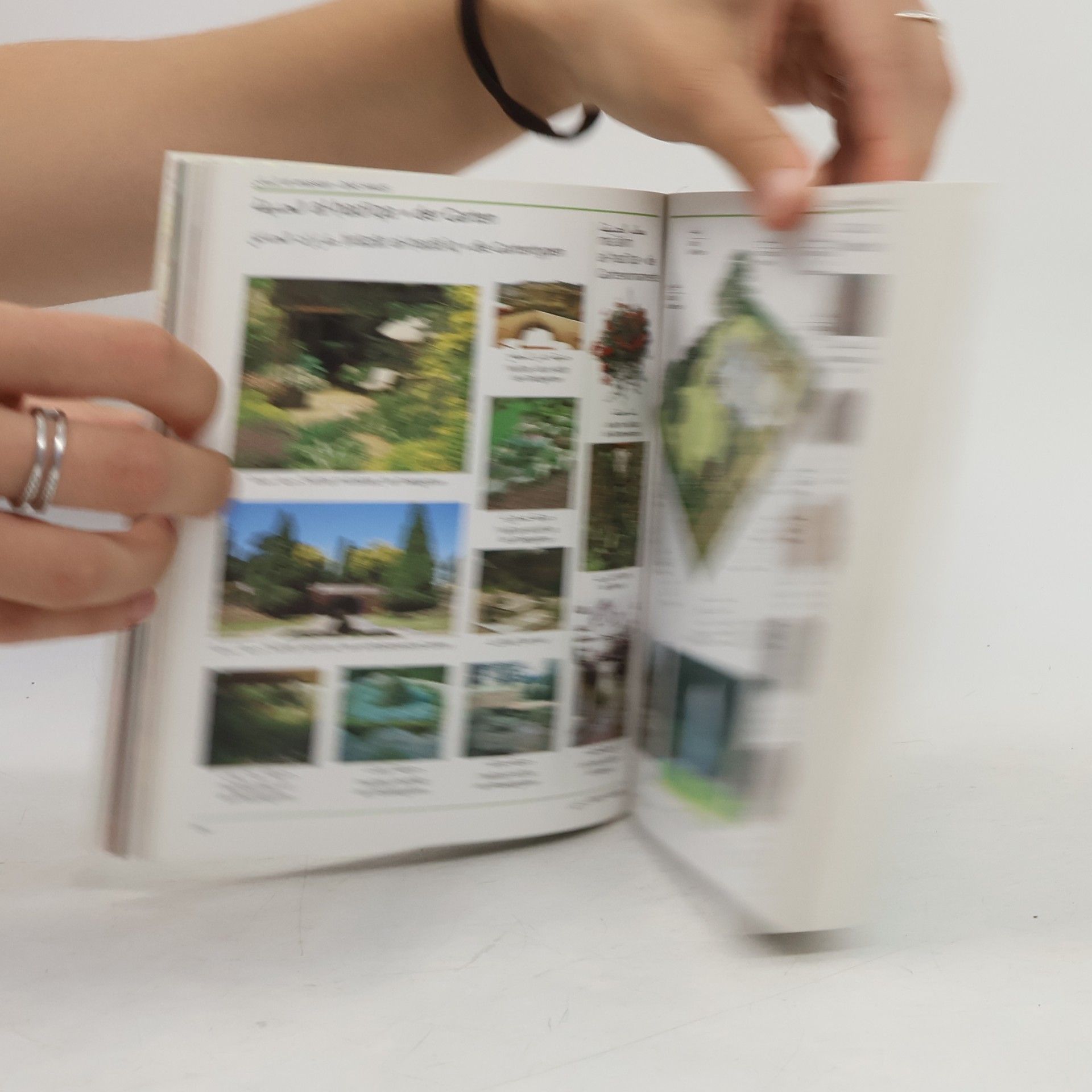 Monika Schlitzer Visuelles Wörterbuch Arabisch-Deutsch
