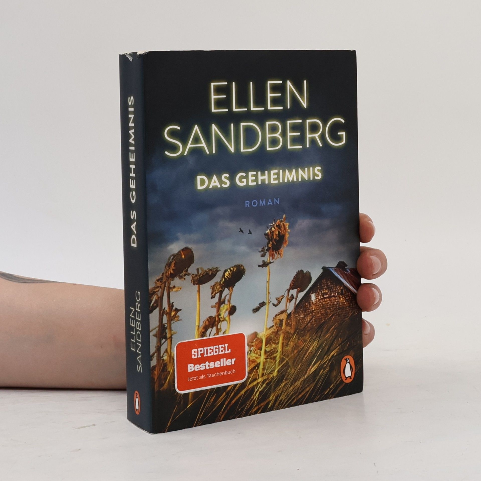 Ellen Sandberg Das Geheimnis