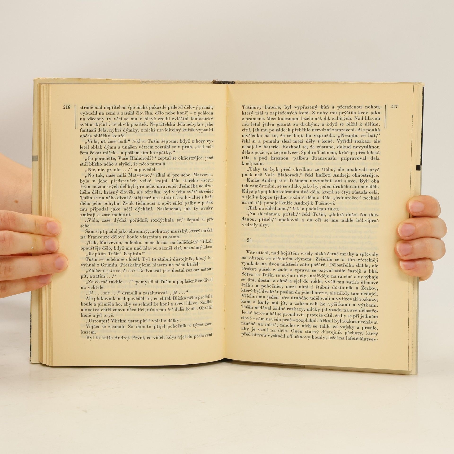 Lew Nikolajewitsch Tolstoi Vojna a mír I