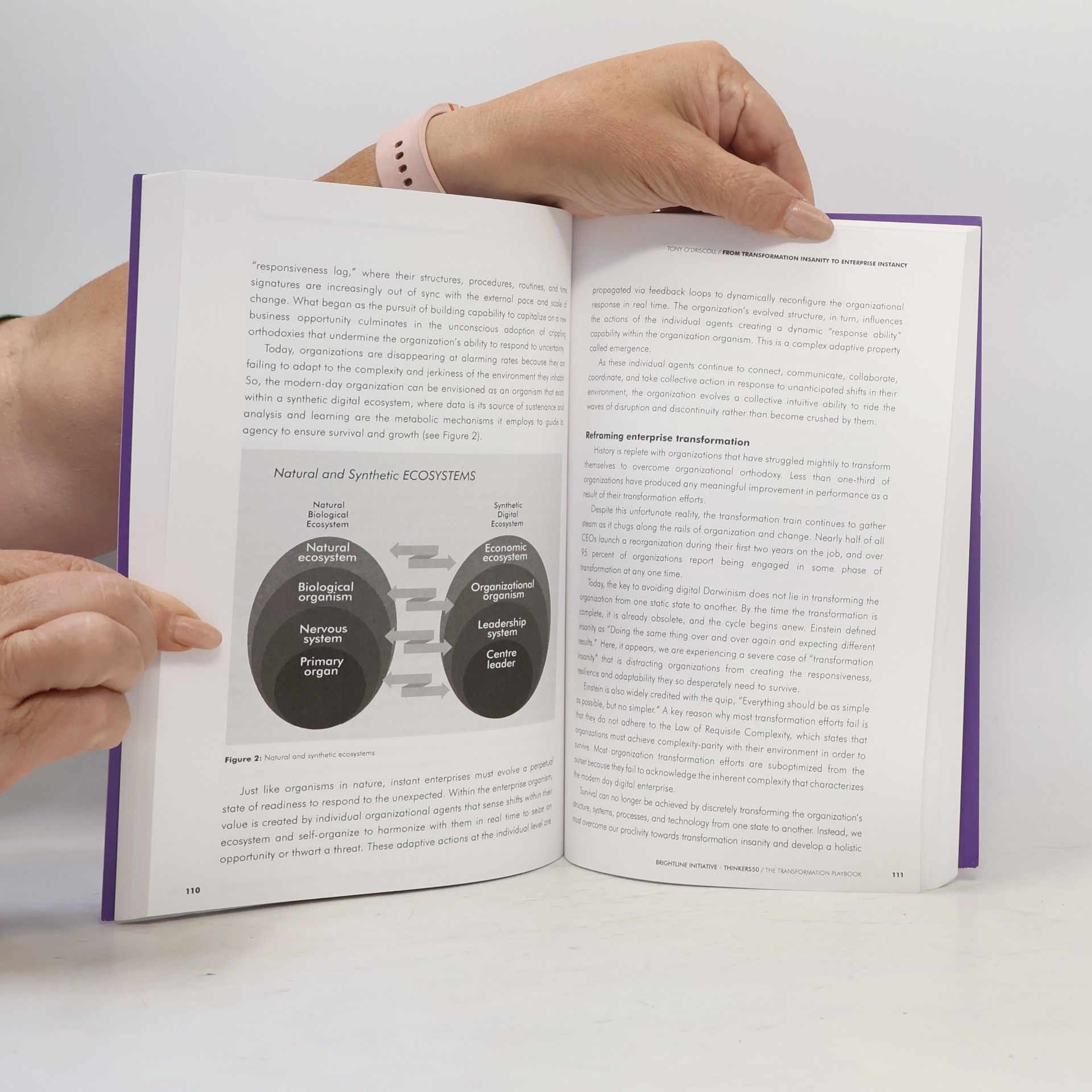 Tiffani Bova The Transformation Playbook