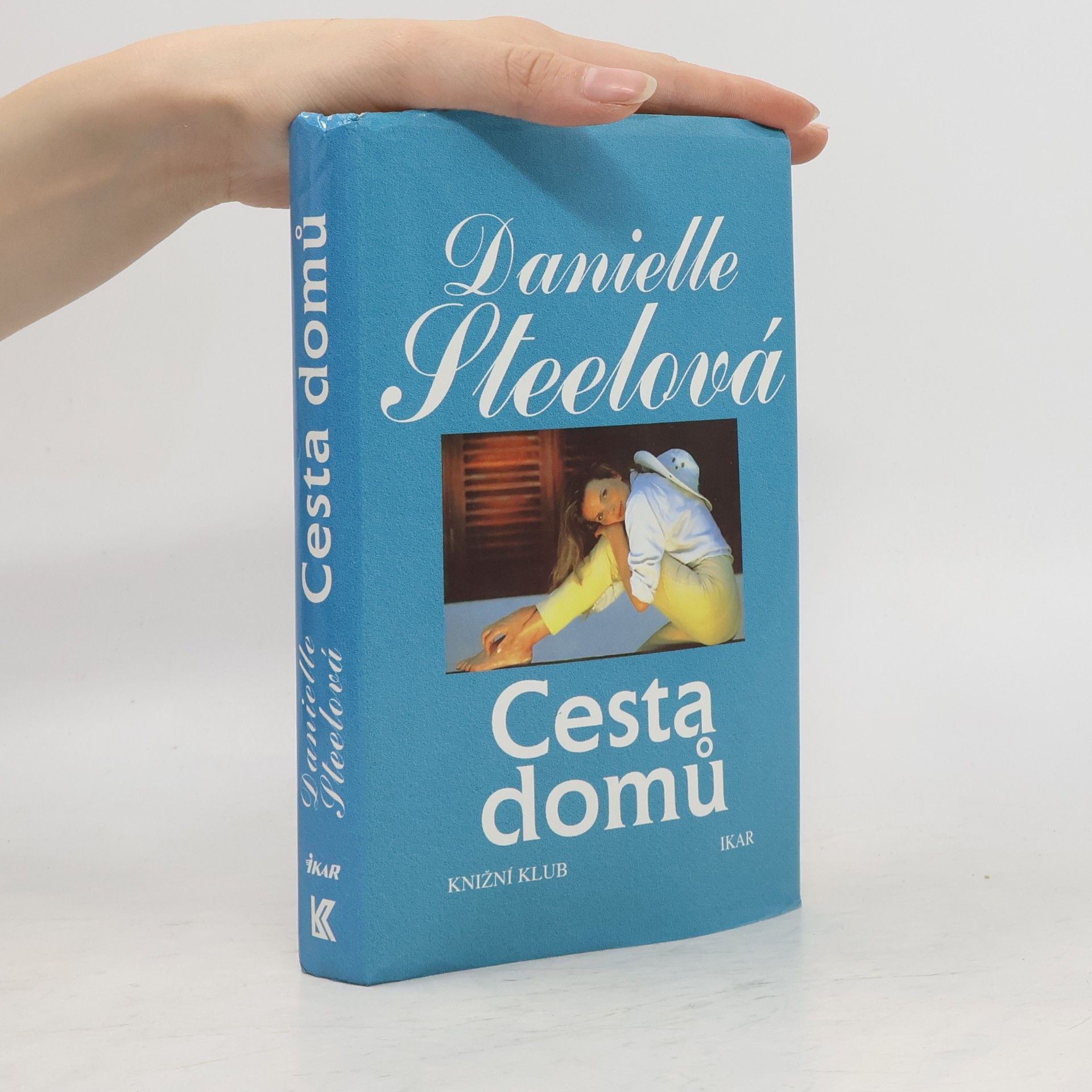 Danielle Steel Cesta domů