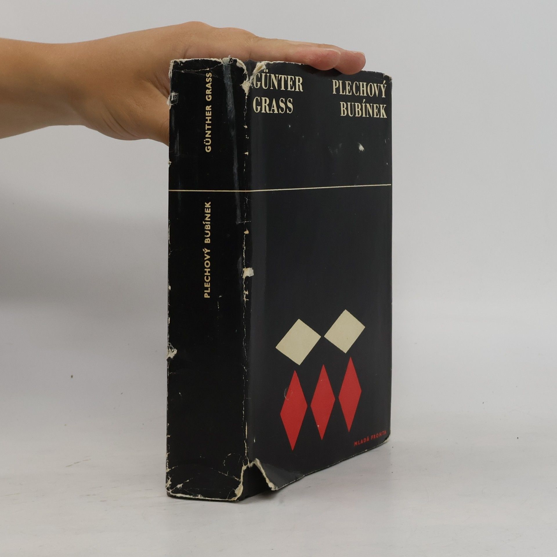 Günter Grass Plechový bubínek