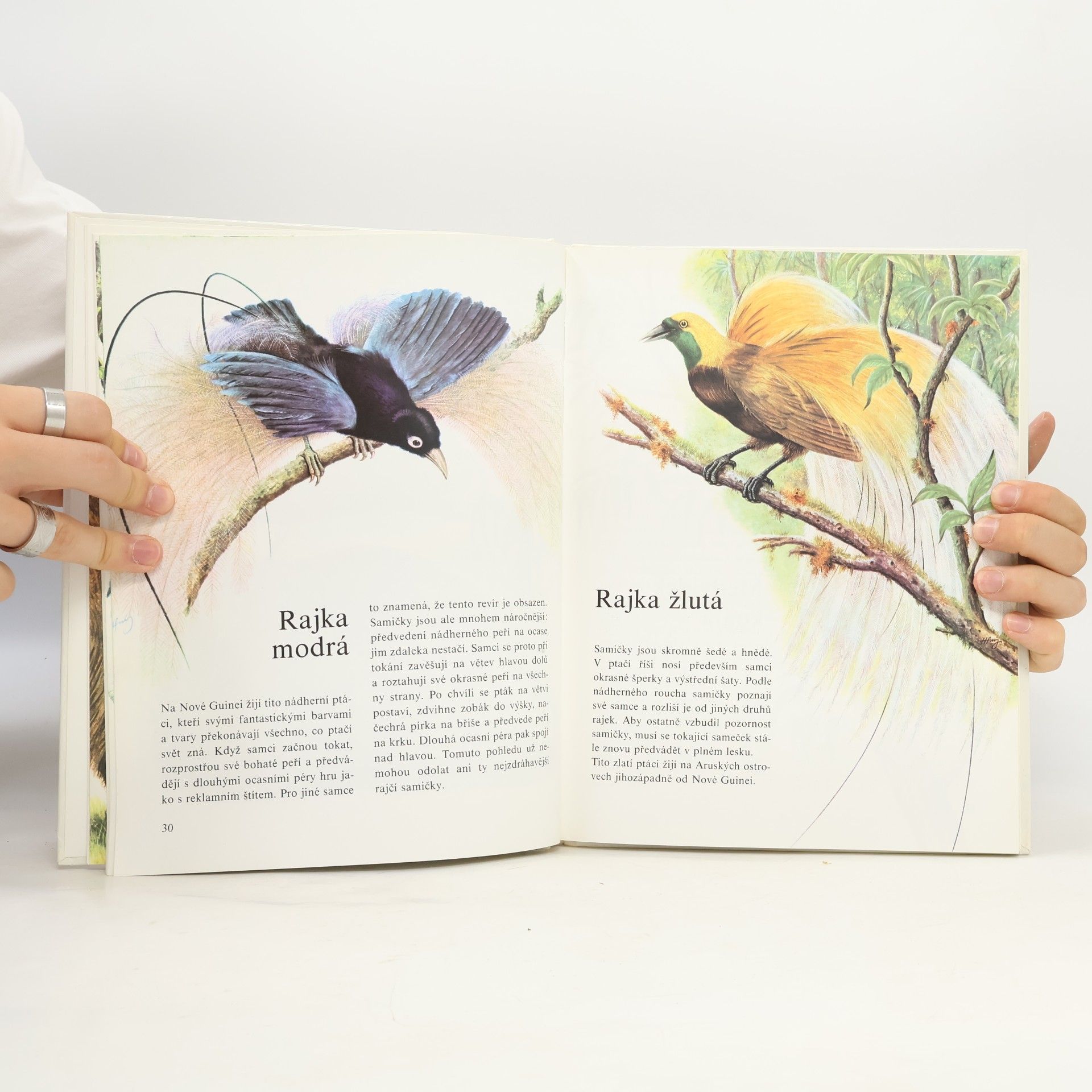 Erns W. Bauer Můj barevný atlas zvířat
