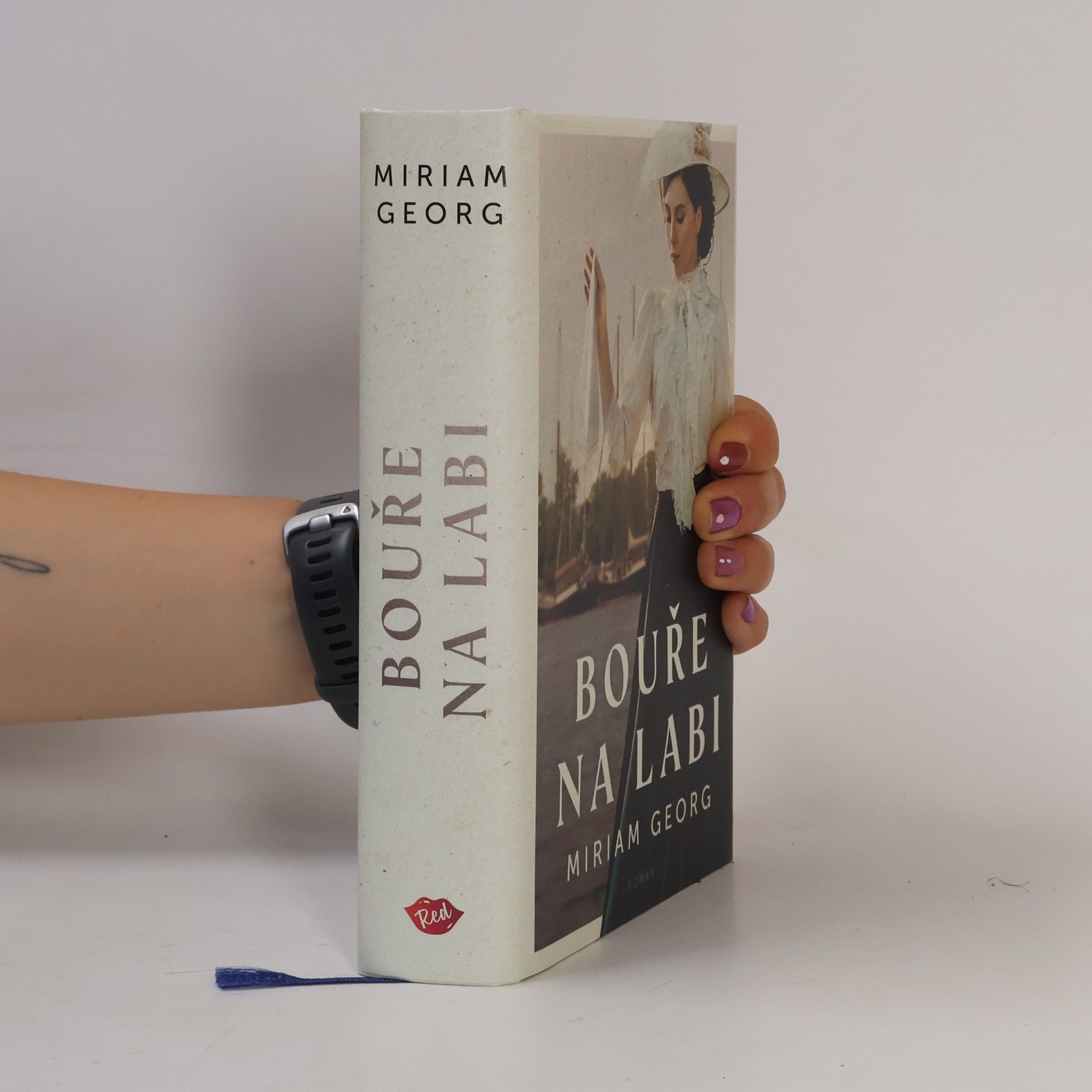 Miriam Georg Bouře na Labi: hanzovní rodinná sága