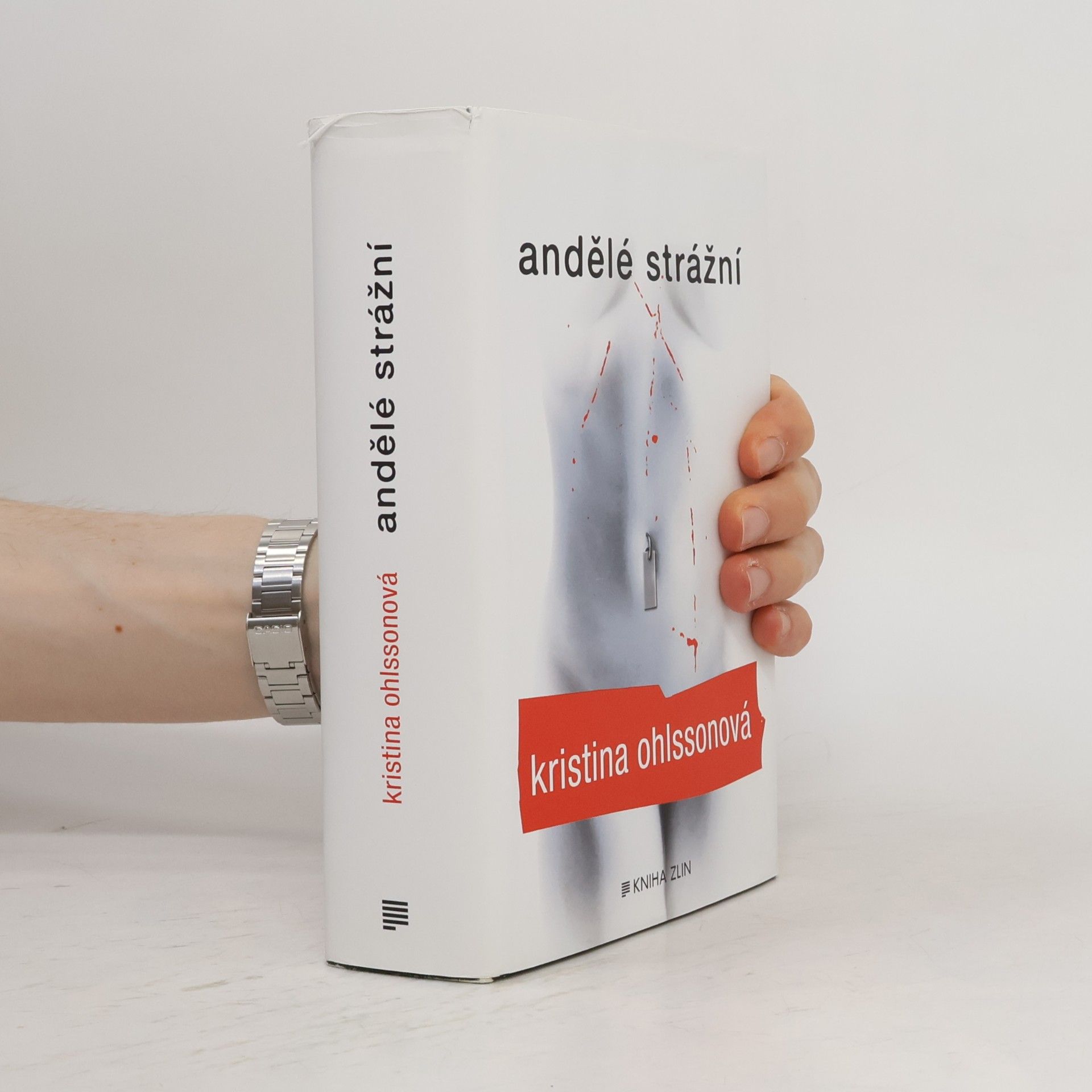 Kristina Ohlsson Andělé strážní