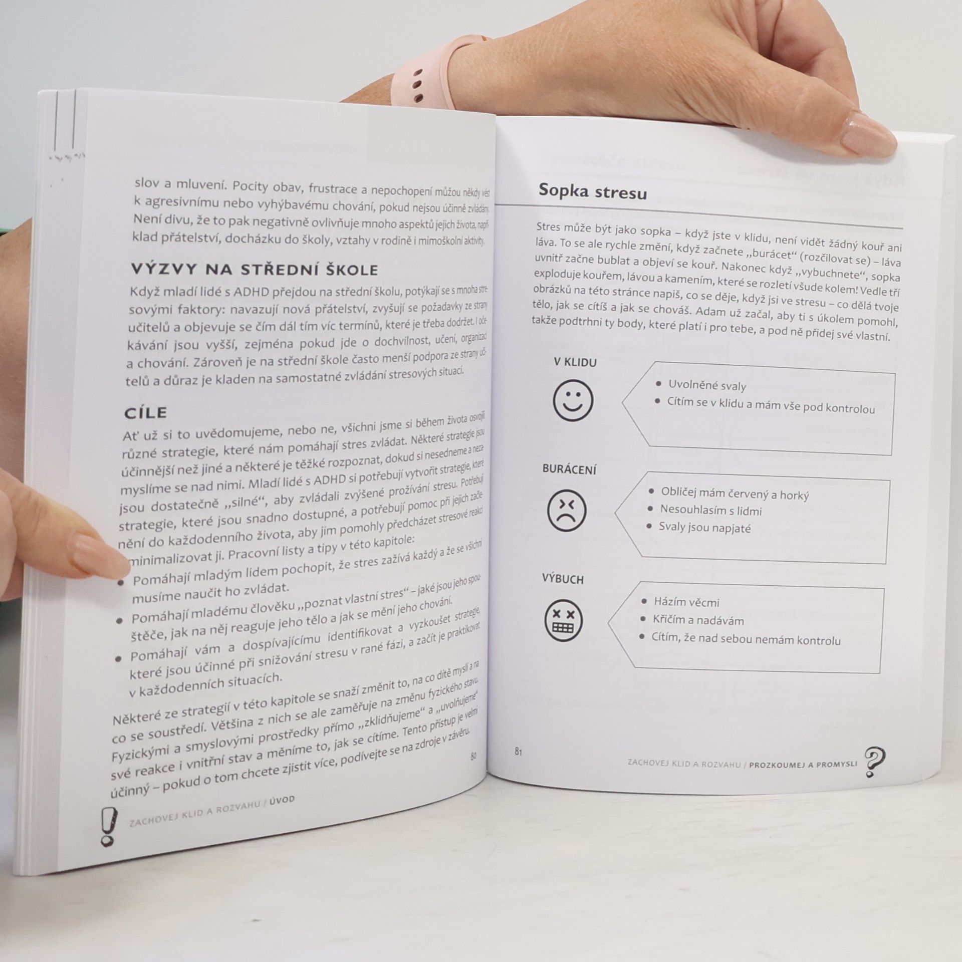 Joanne Steer Mindfulness a relaxace pro žáky s ADHD : od 10 let