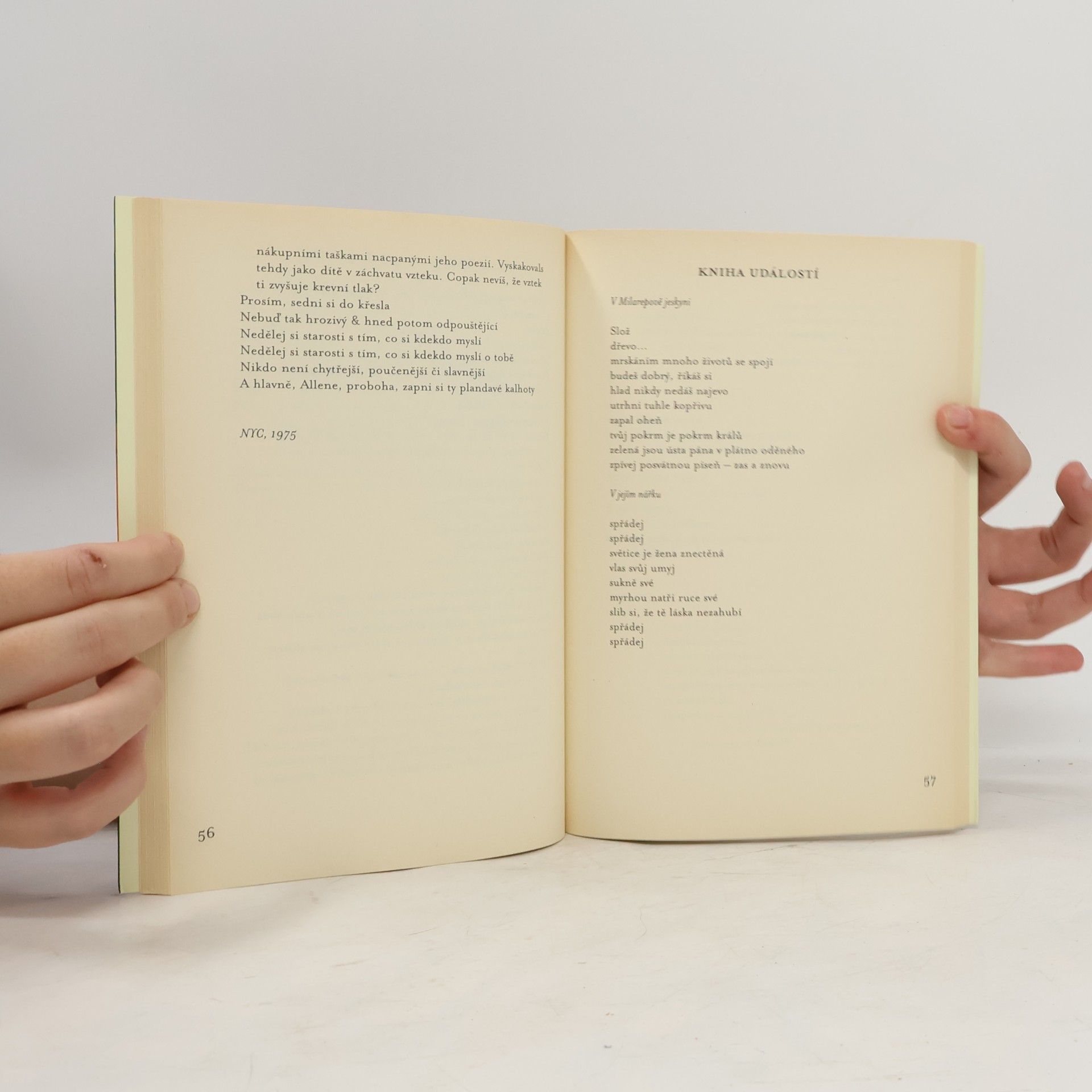 Anne Waldman Žena v řeči bystrá : zaříkávadla & eseje