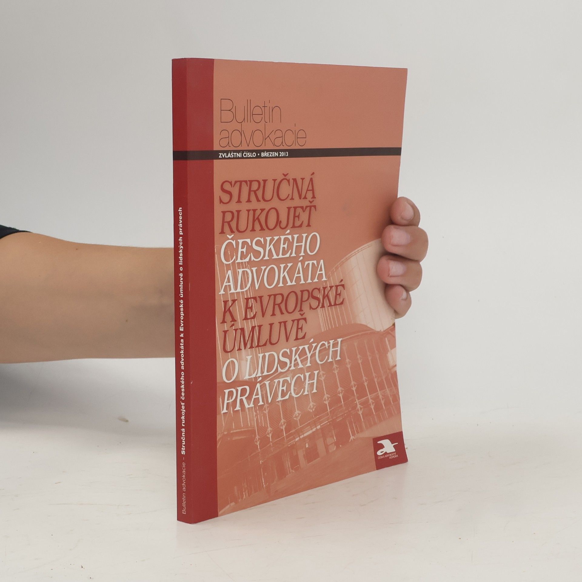 Eva Hubálková Stručná rukojeť českého advokáta k Evropské úmluvě o lidských právech