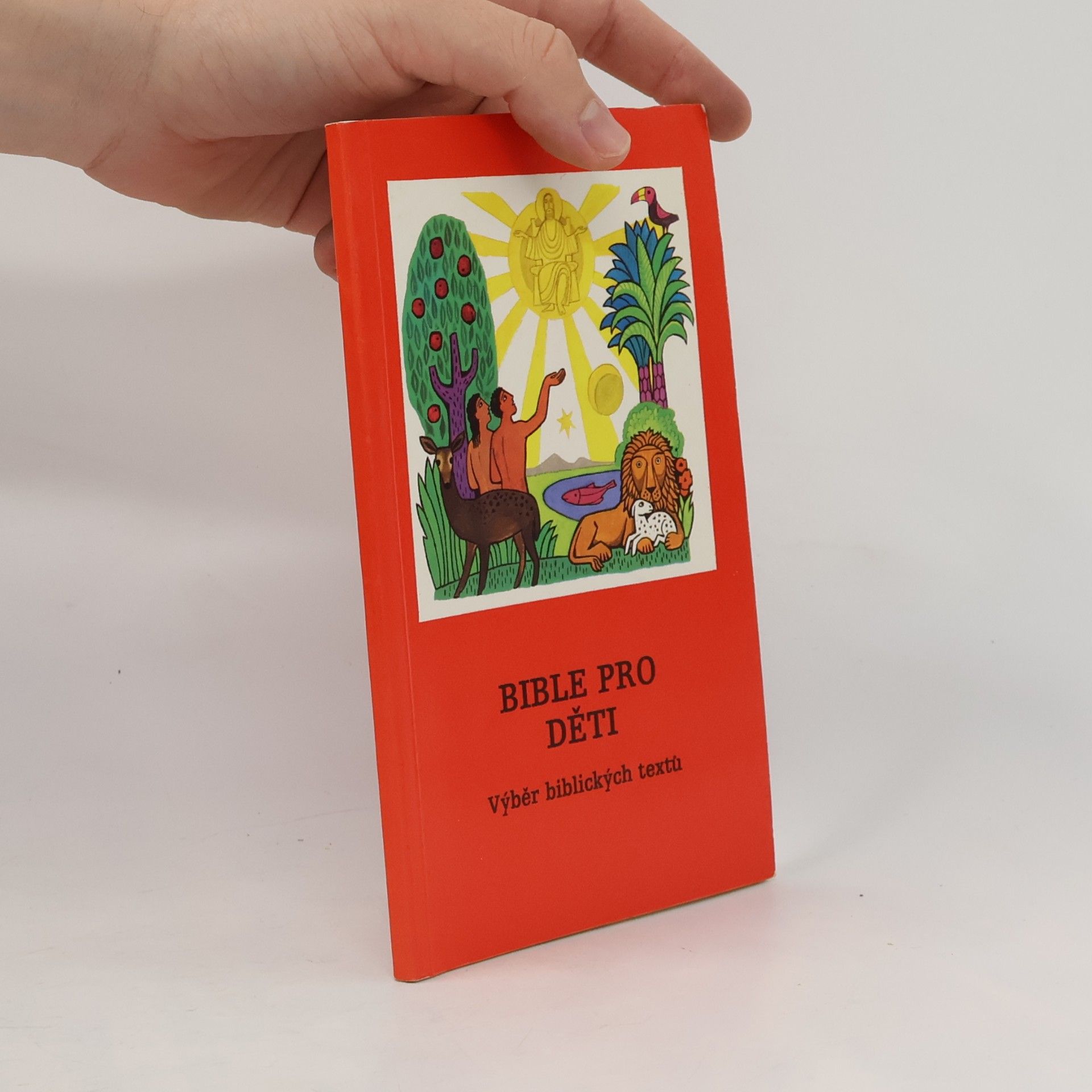 Autorenkollektiv Bible pro děti. Výběr biblických textů