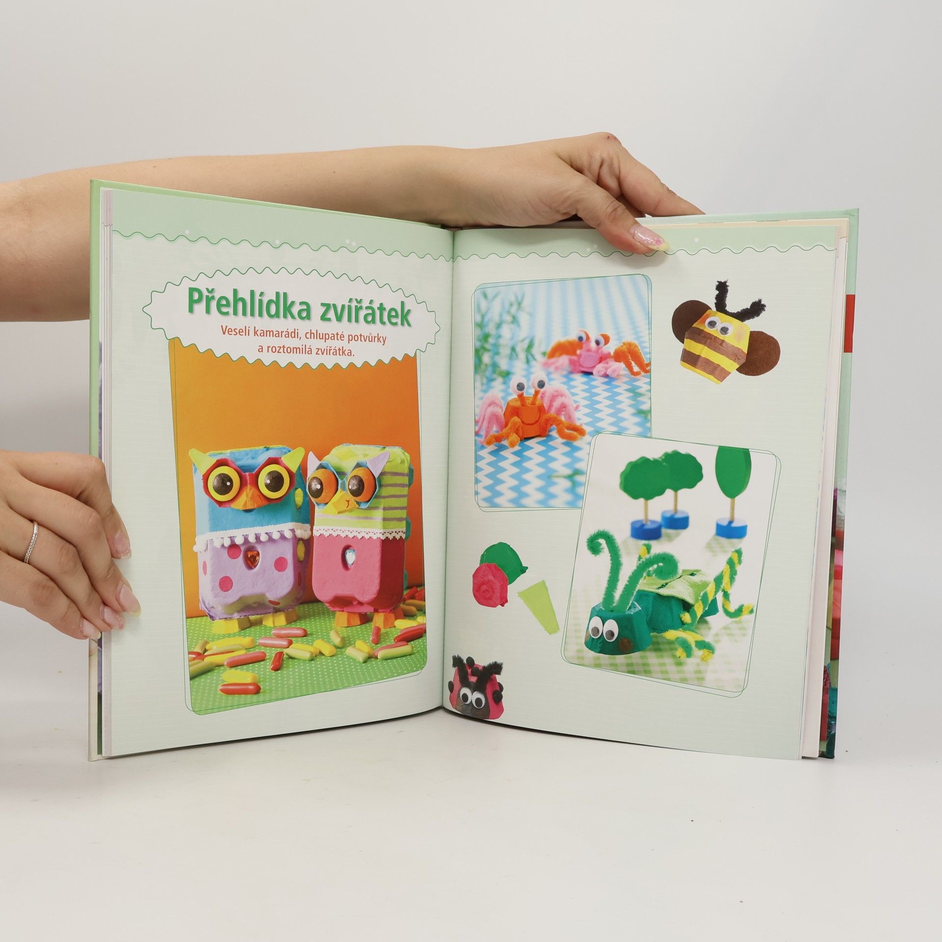 Gudrun Schmitt Tvoříme z obalů na vajíčka