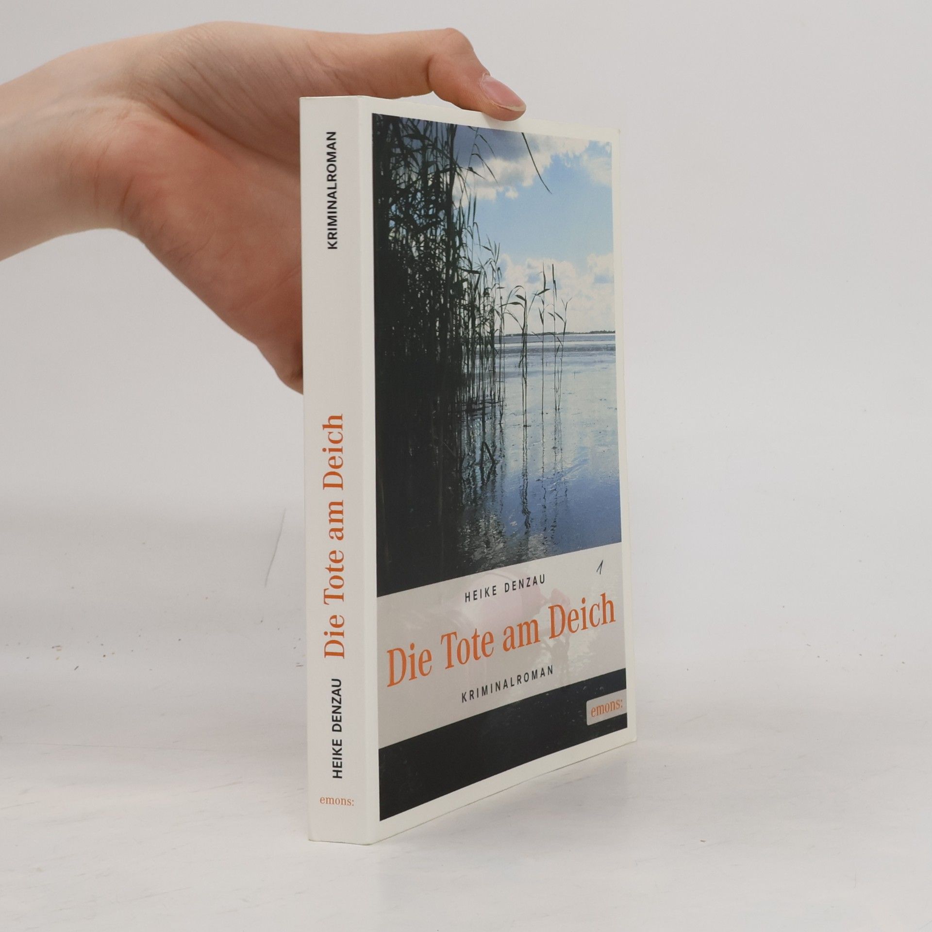 Heike Denzau Die Tote am Deich