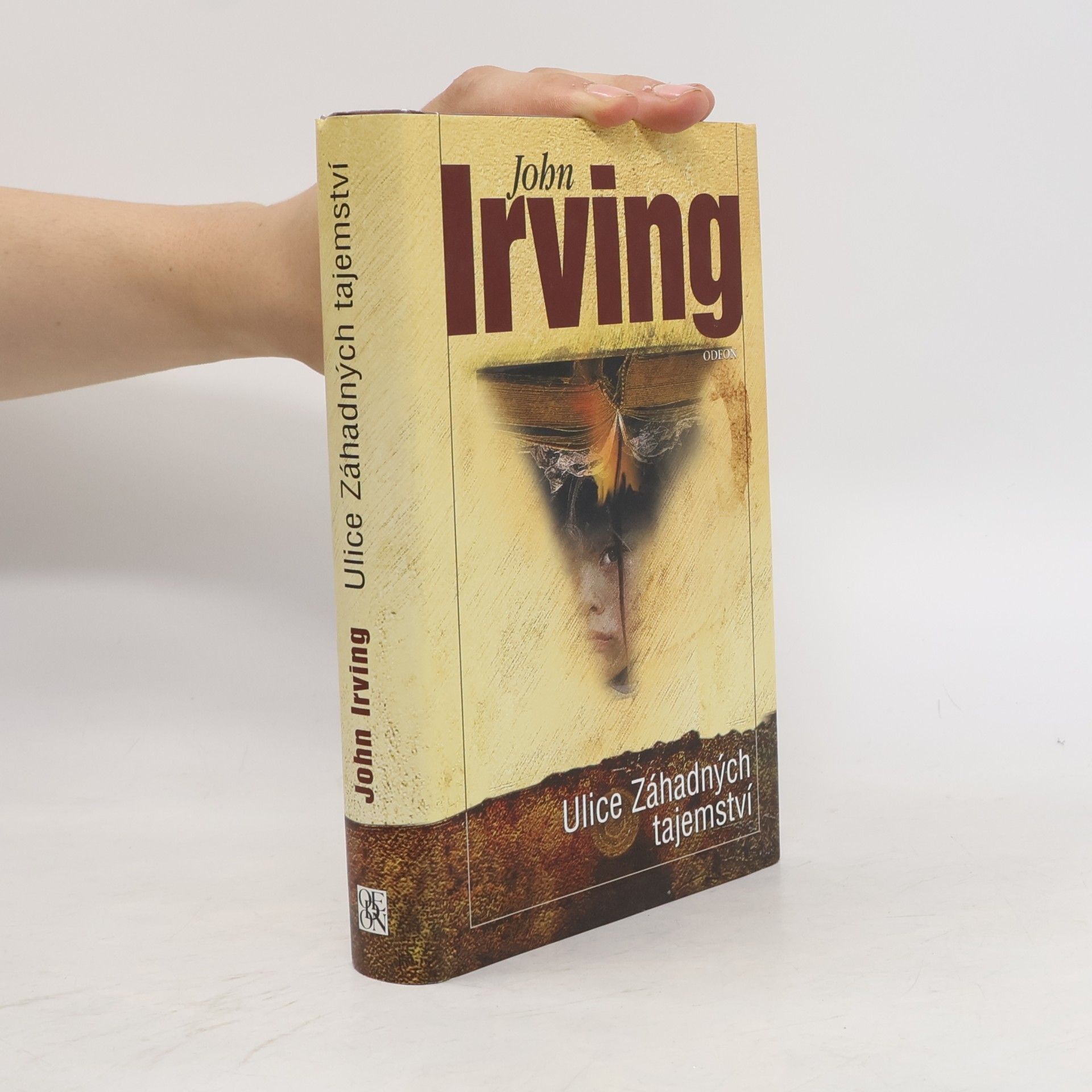 John Irving Ulice Záhadných tajemství