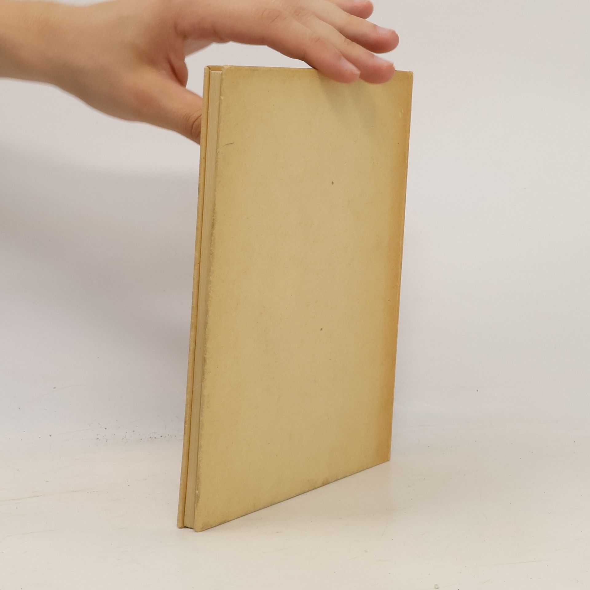 Václav Mencl Dřevěné kostelní stavby v zemích českých