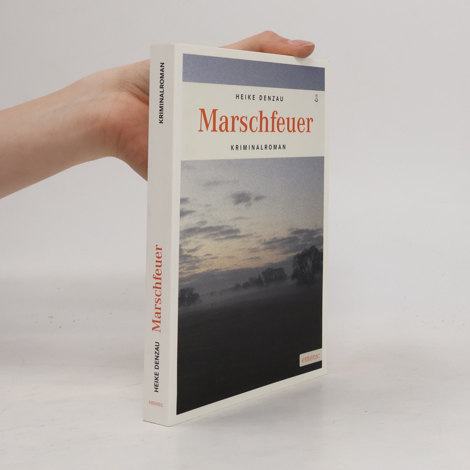 Heike Denzau Marschfeuer