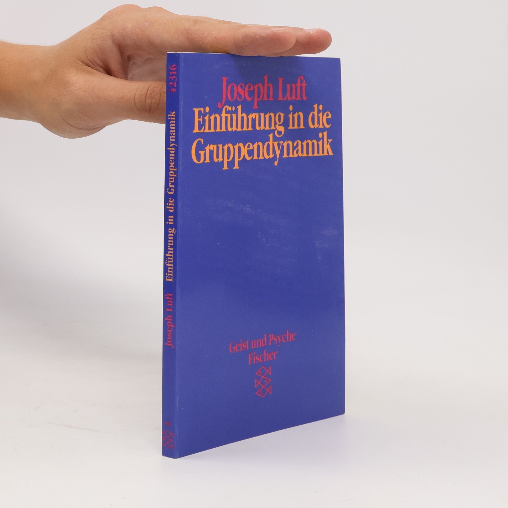 Joseph Luft Einführung in die Gruppendynamik