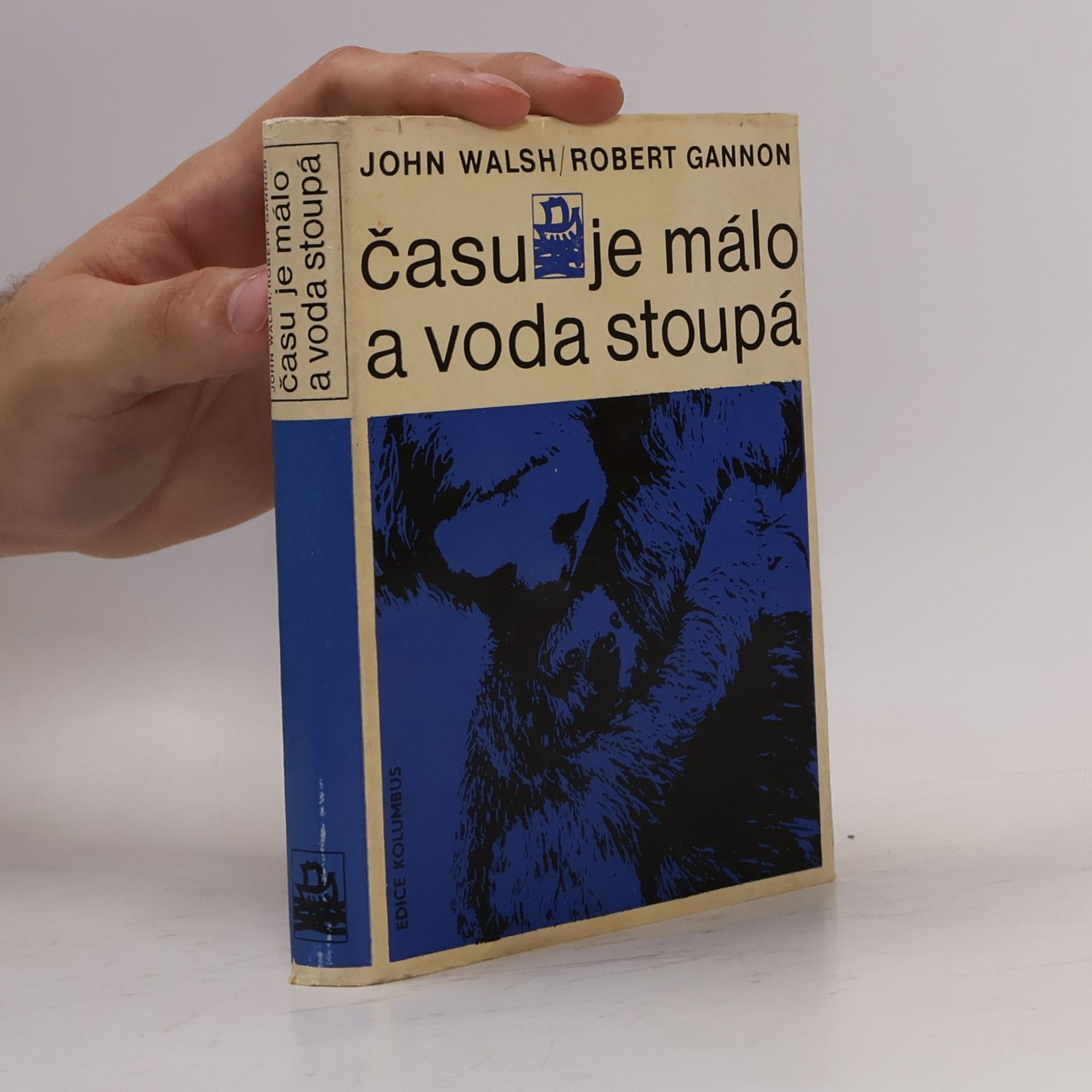 Robert Gannon Času je málo a voda stoupá