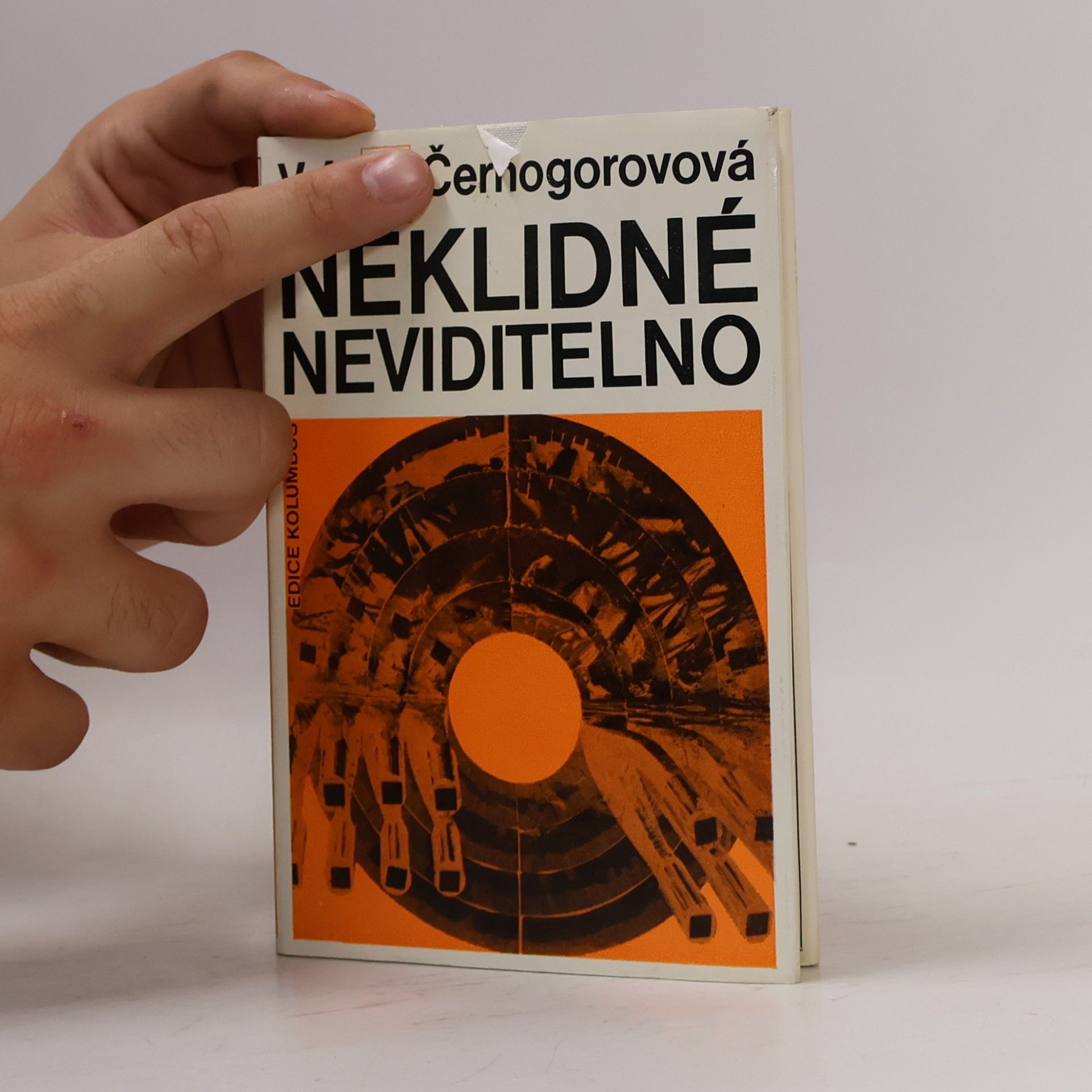 Vera Aleksandrovna Černogorova Neklidné neviditelno
