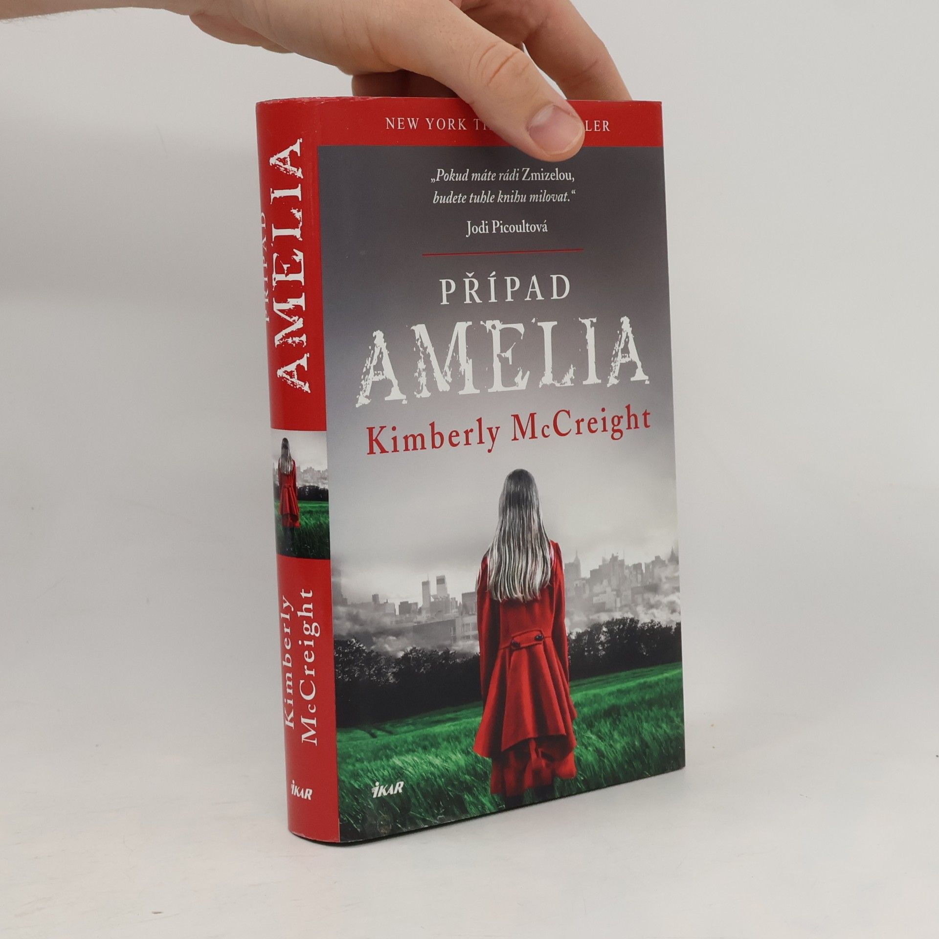 Kimberly McCreight Případ Amelia