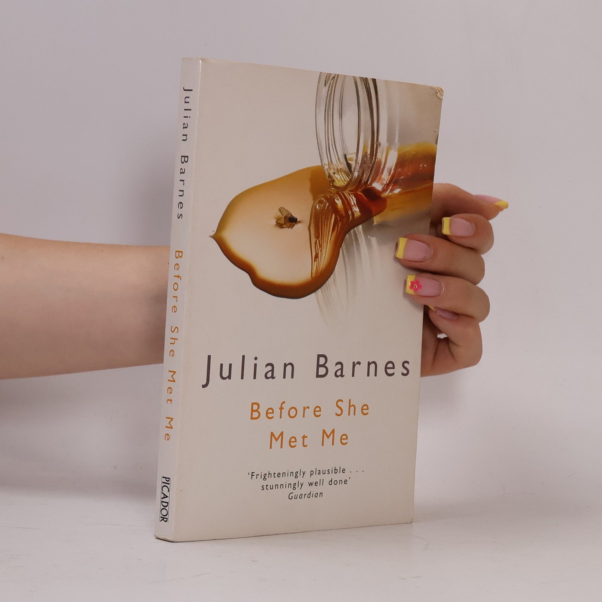 Julian Barnes Before She Met Me