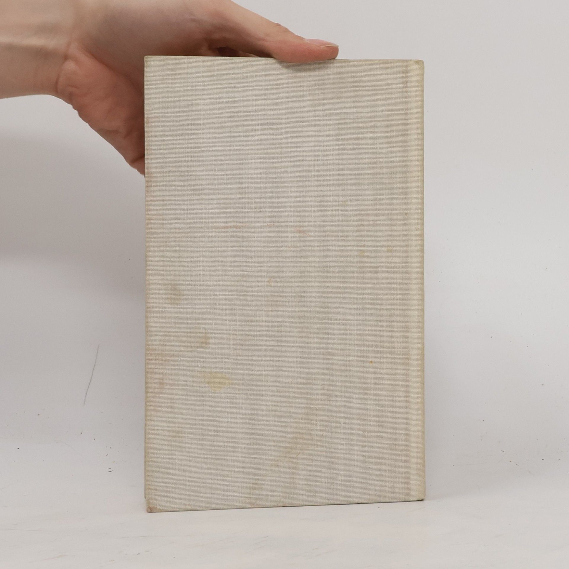 Jorge Amado Werkstatt der Wunder