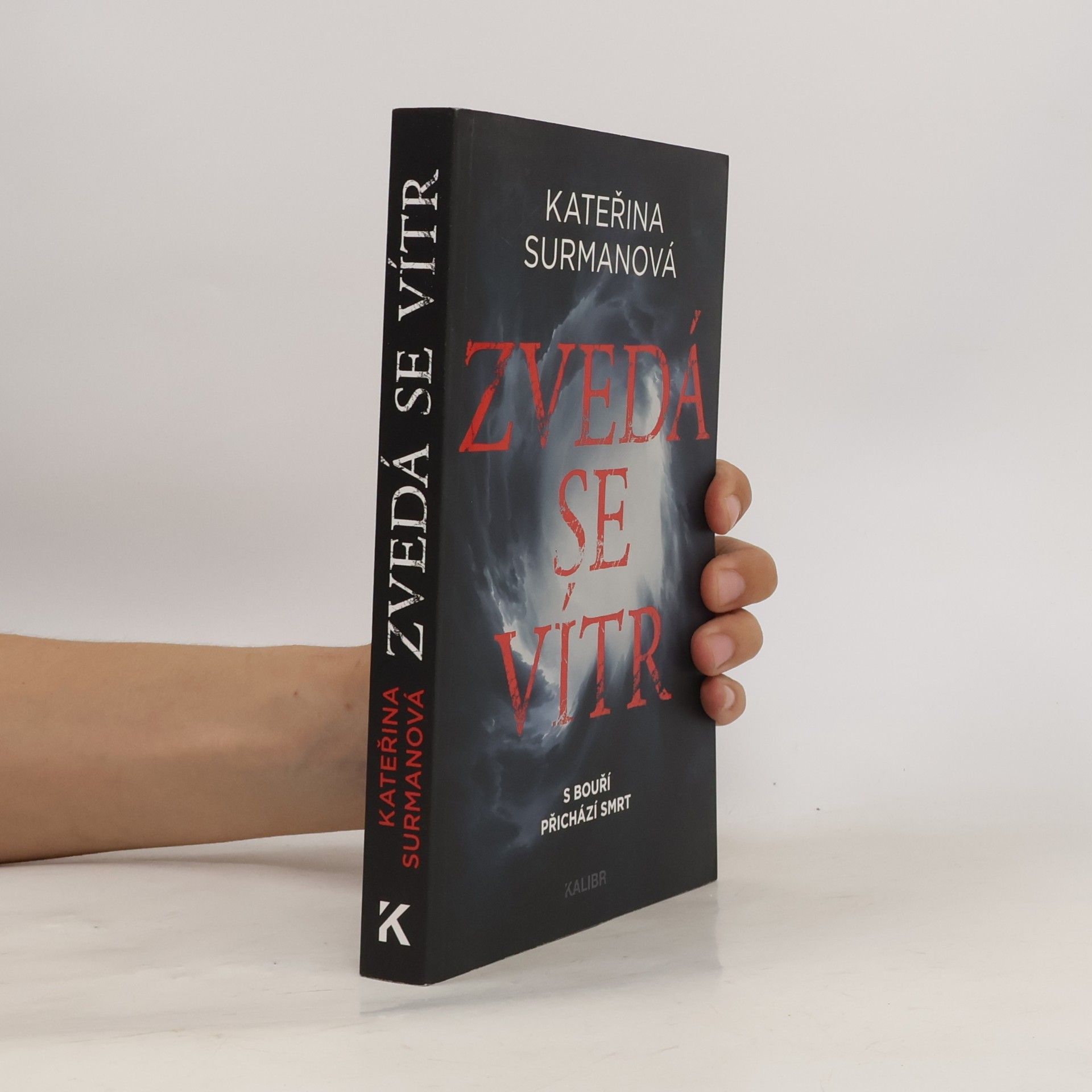 Kateřina Surmanová Zvedá se vítr