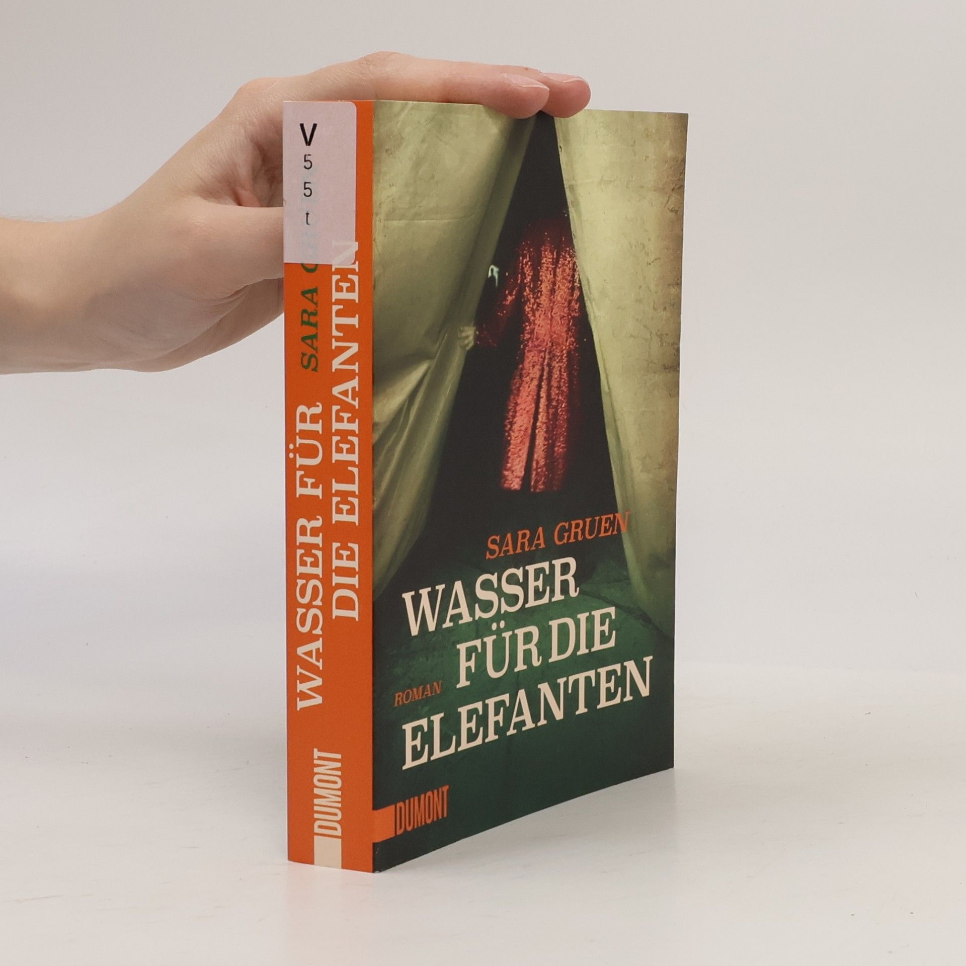 Sara Gruen Wasser für die Elefanten