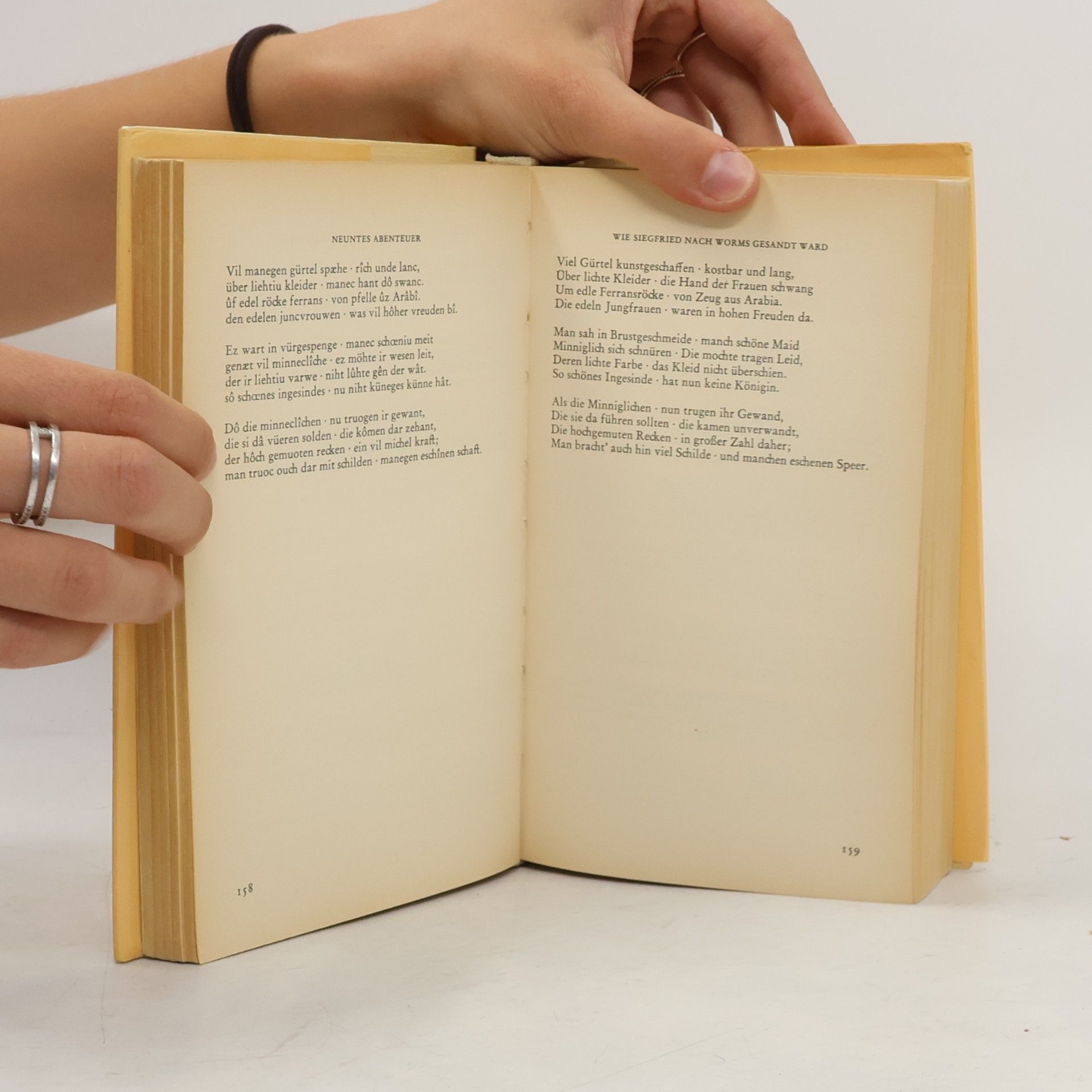 Autorenkollektiv Das Nibelungenlied. Mittelhochdeutsch und Neuhochdeutsch