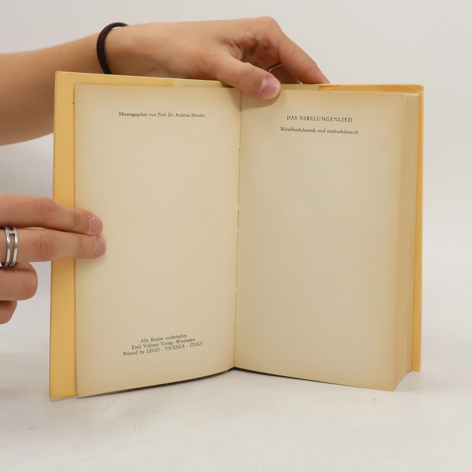 Autorenkollektiv Das Nibelungenlied. Mittelhochdeutsch und Neuhochdeutsch