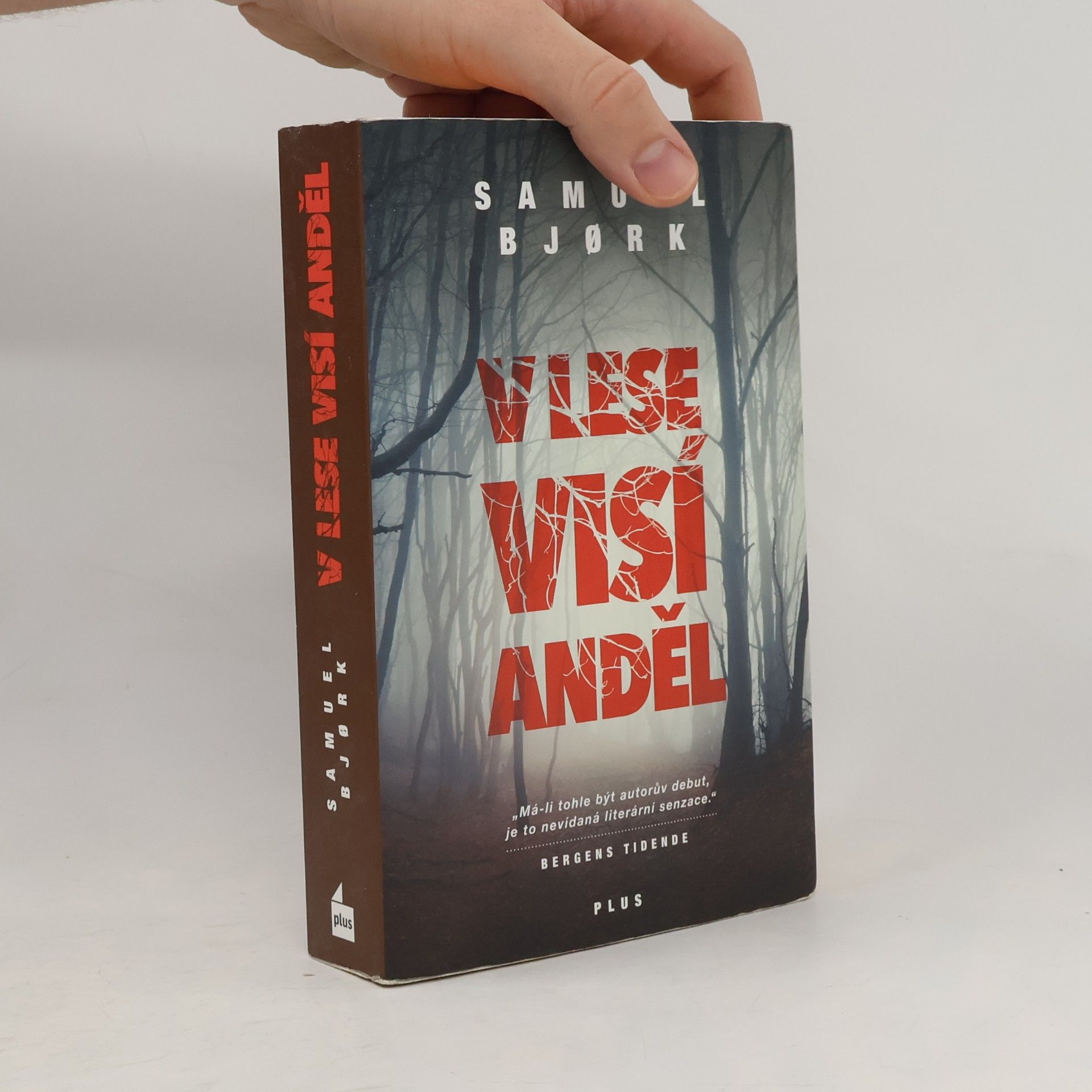 Samuel Bjork V lese visí anděl