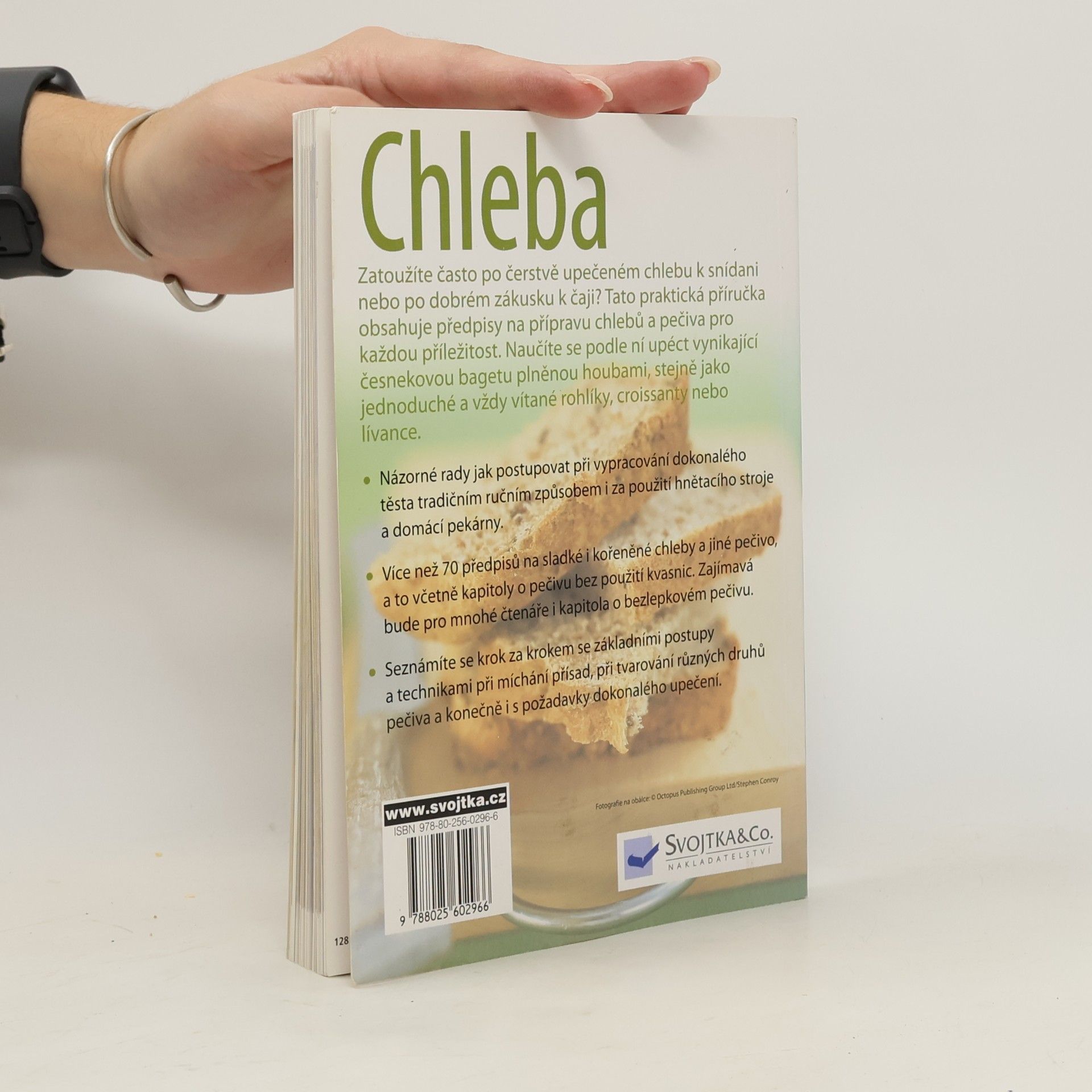 Sara Lewis Chleba - Praktická příručka o pečení chleba a pečiva