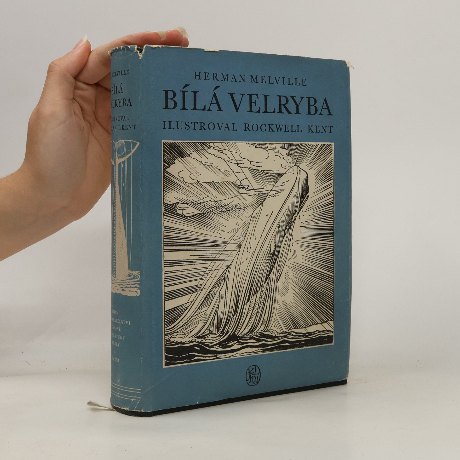 Herman Melville Bílá velryba