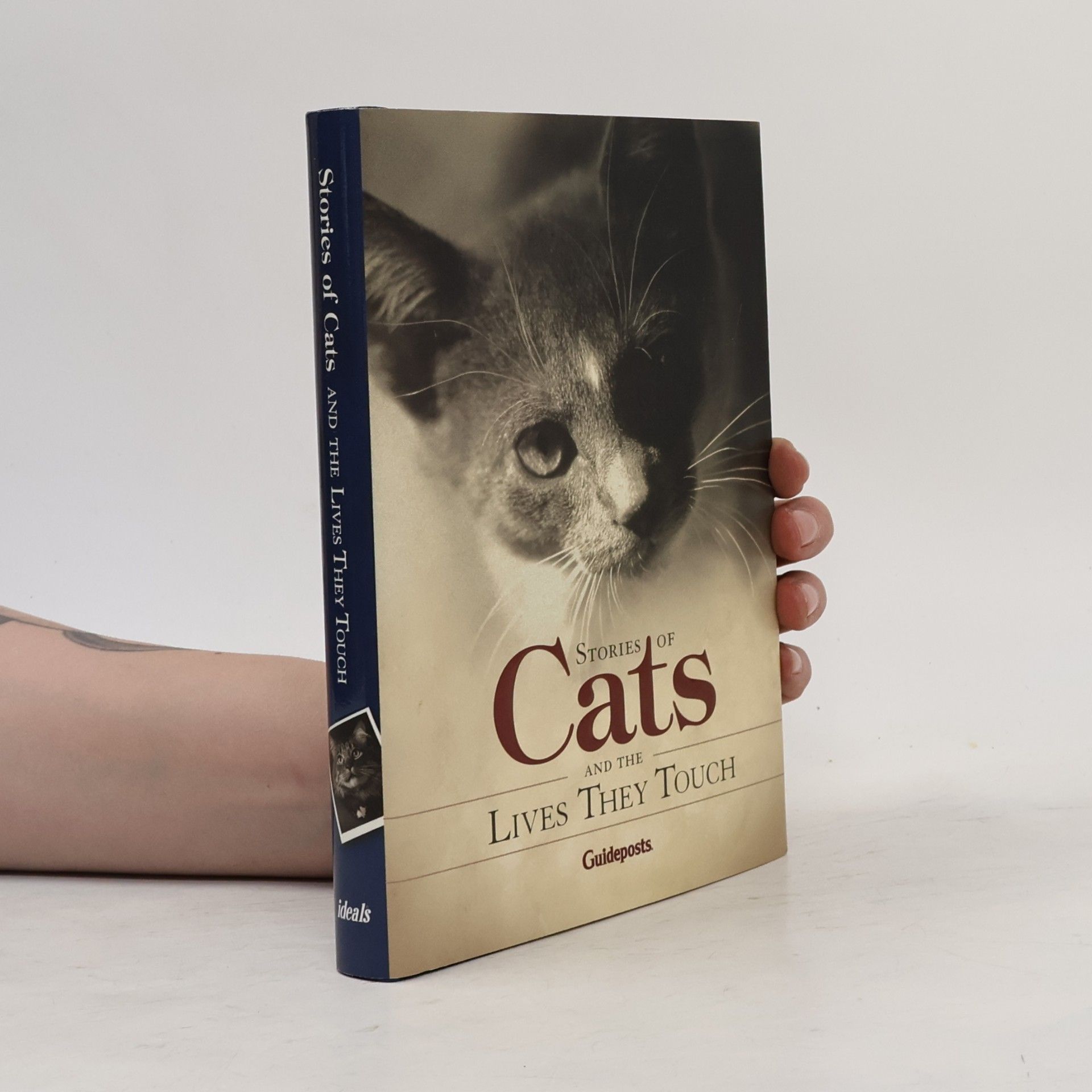 Peggy Shaefer Stories About Cats and the Lives They Touch