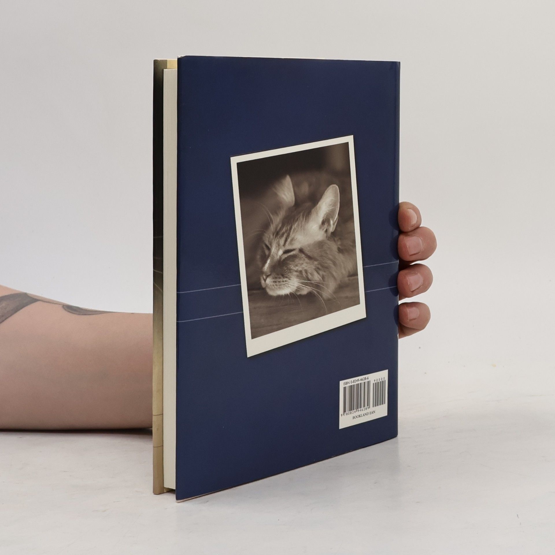 Peggy Shaefer Stories About Cats and the Lives They Touch