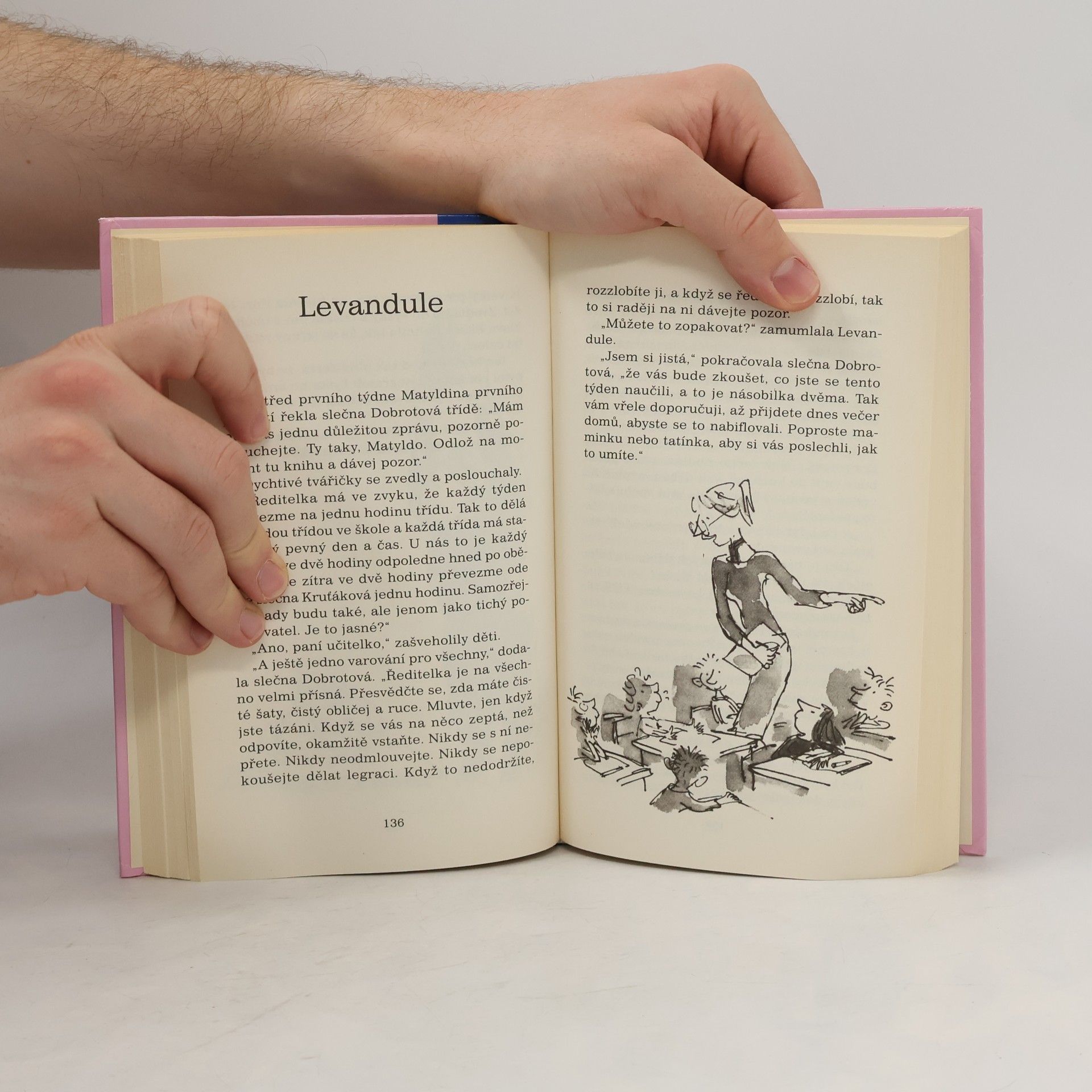 Roald Dahl Matylda