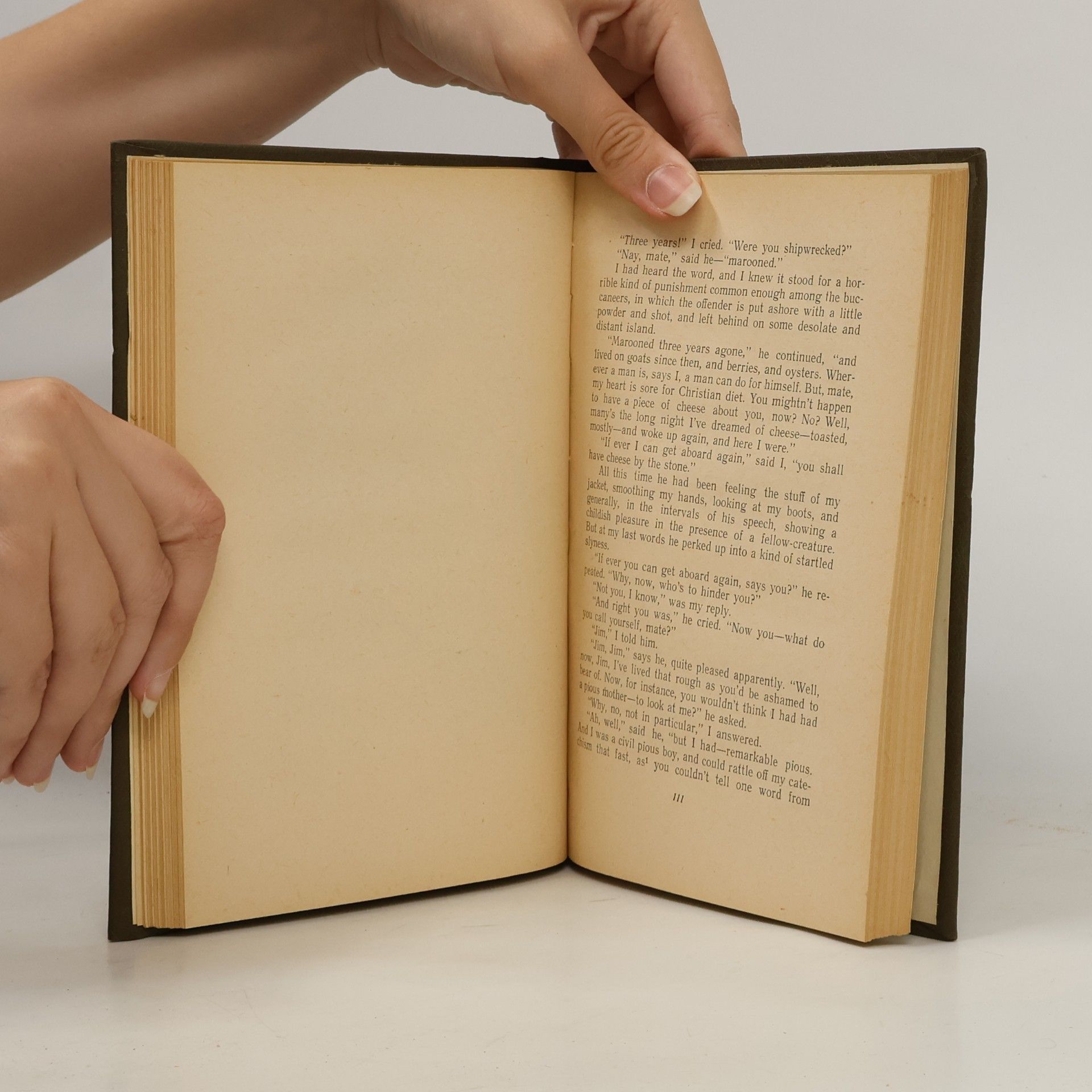 Robert Louis Stevenson Treasure Island