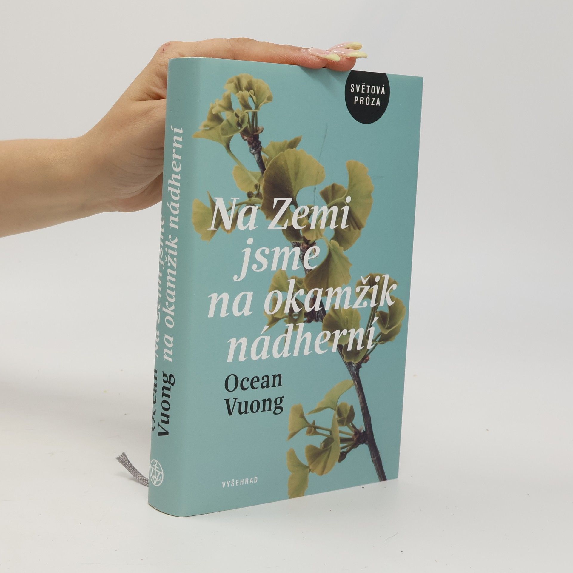 Ocean Vuong Na Zemi jsme na okamžik nádherní