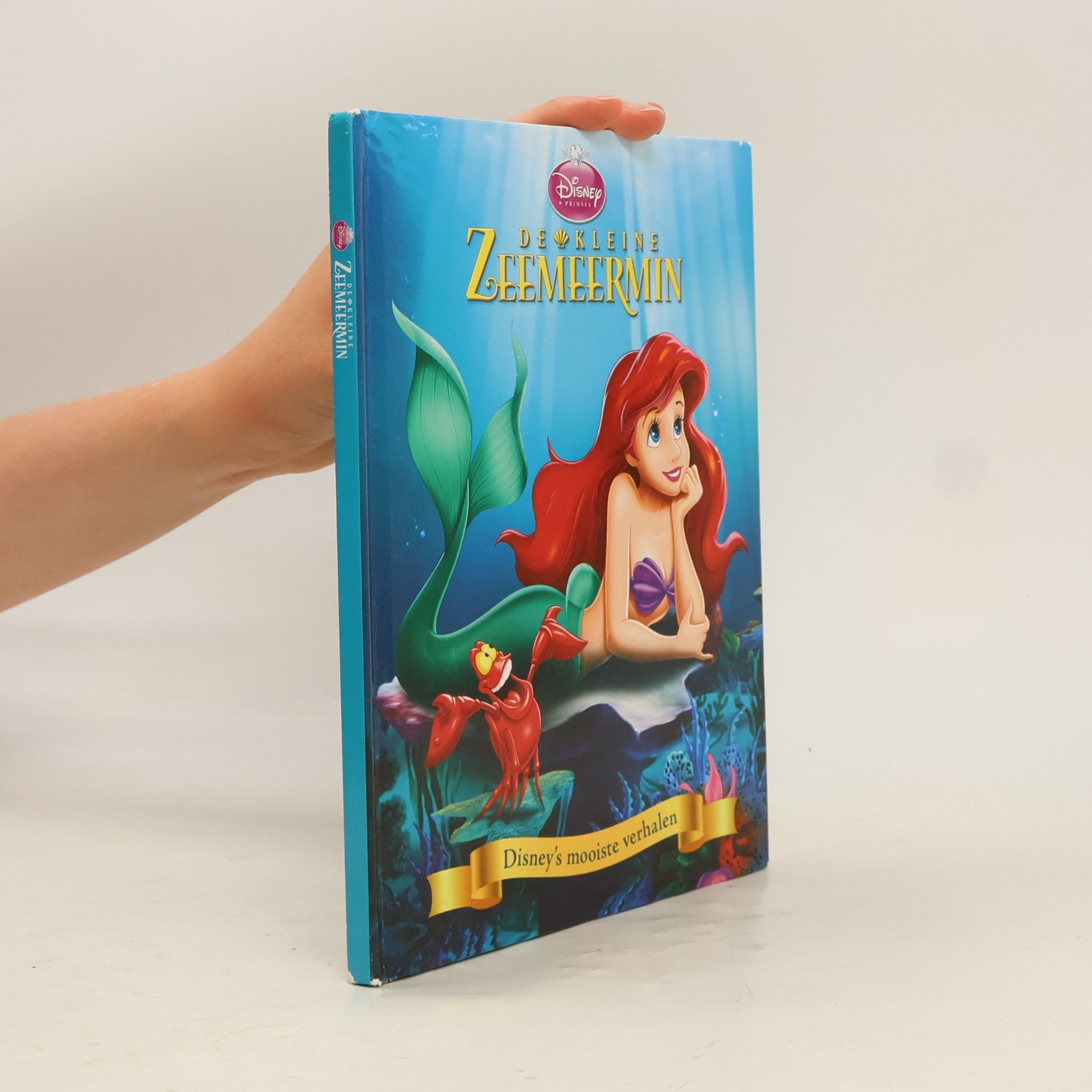 Autorenkollektiv De Kleine Zeemeermin