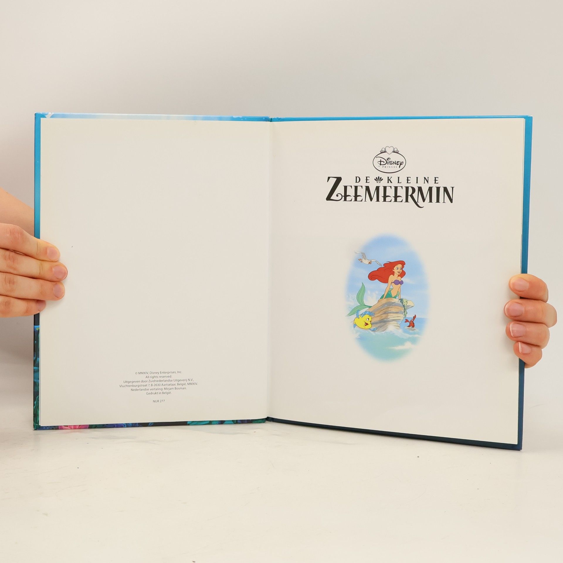 Autorenkollektiv De Kleine Zeemeermin