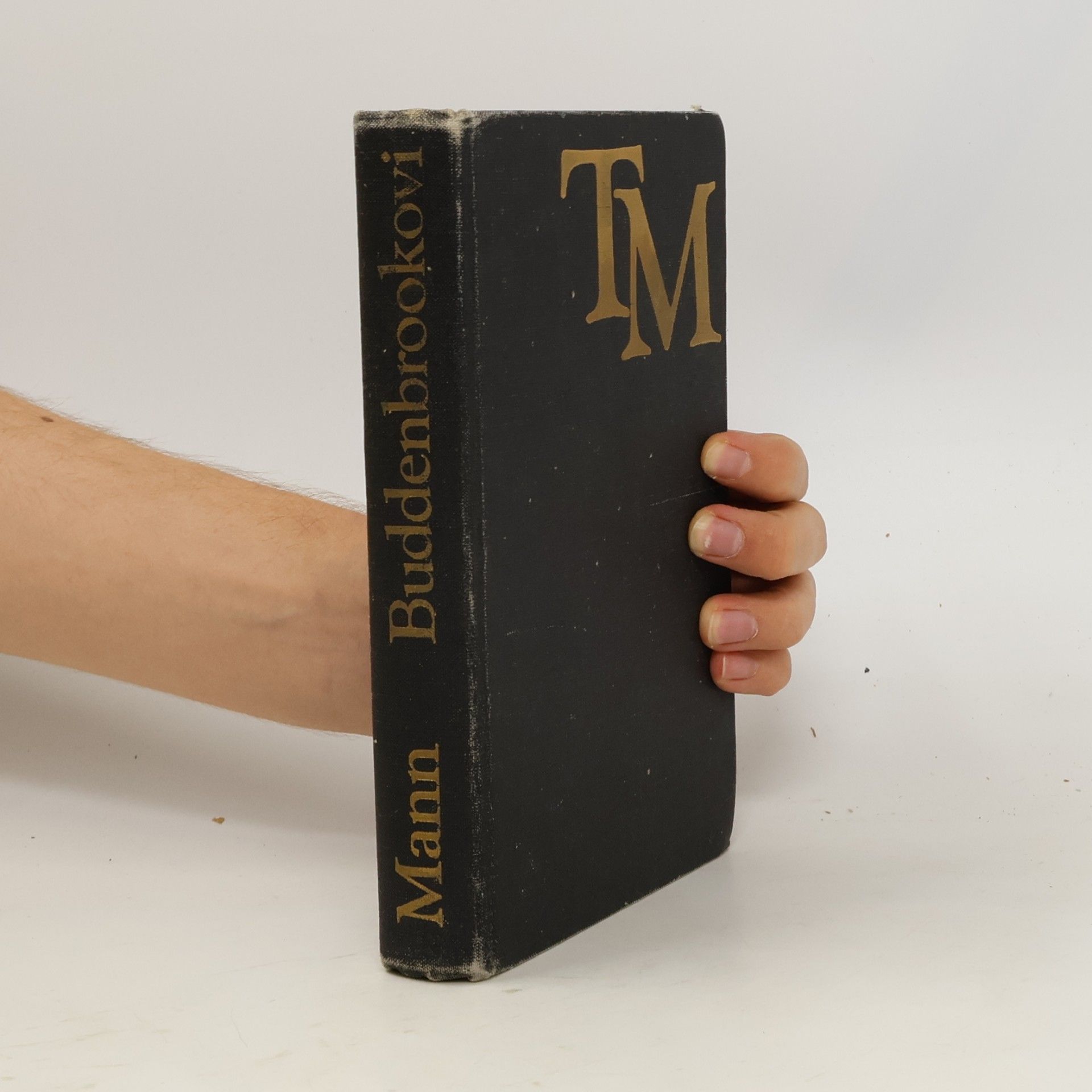 Thomas Mann Buddenbrookovi