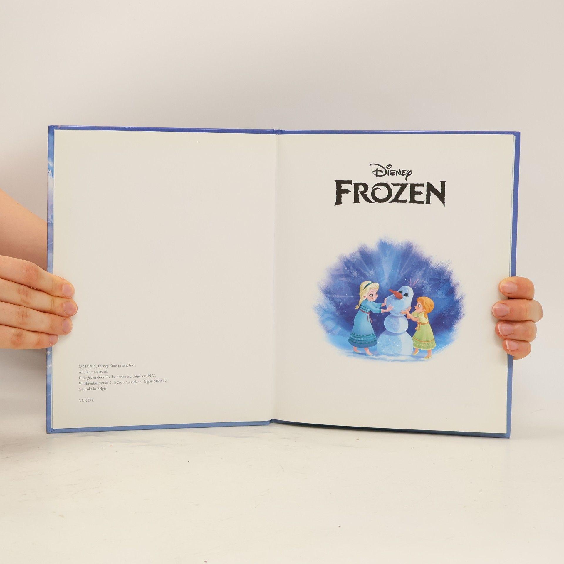 Walt Disney Company Frozen