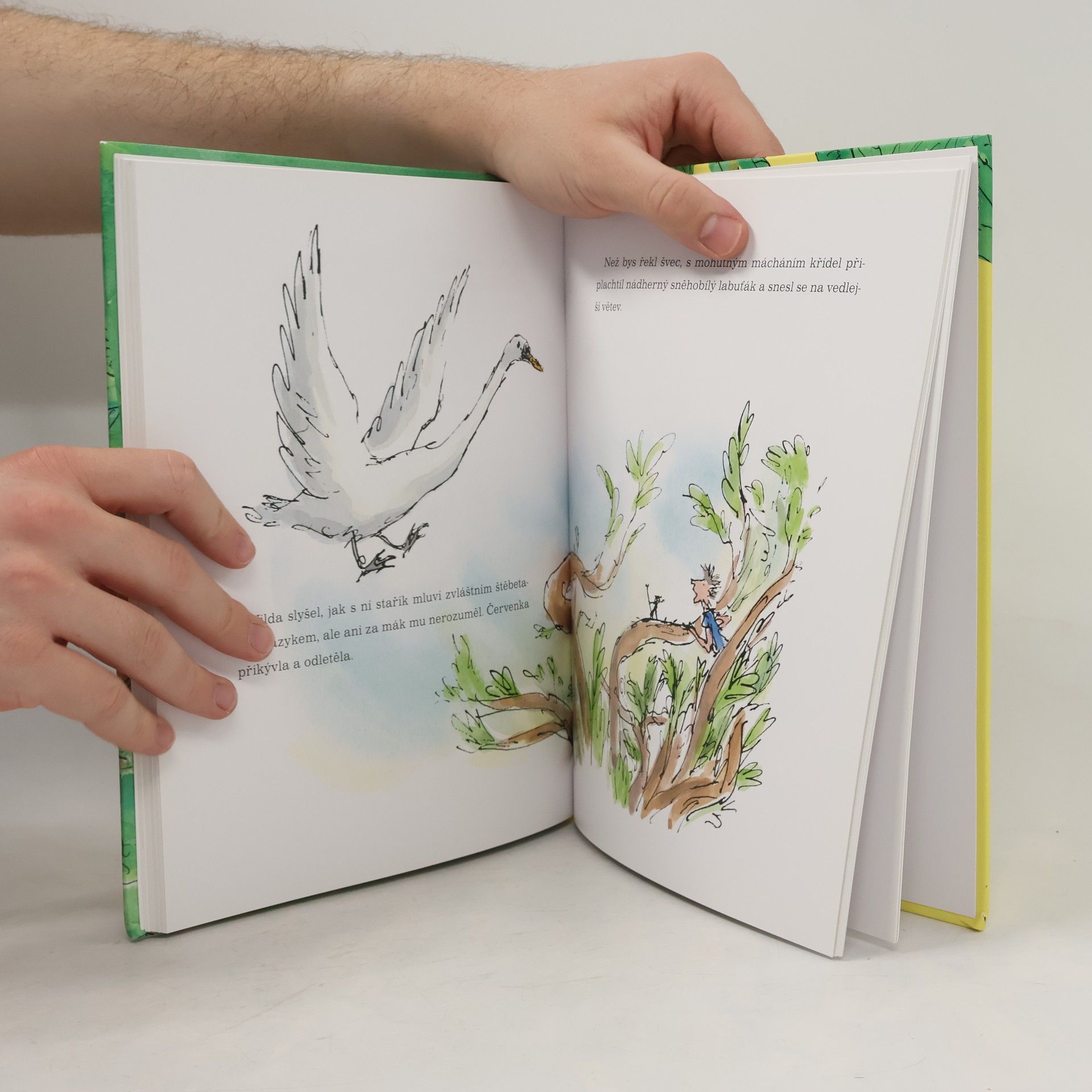 Roald Dahl Vilda a pidipískové